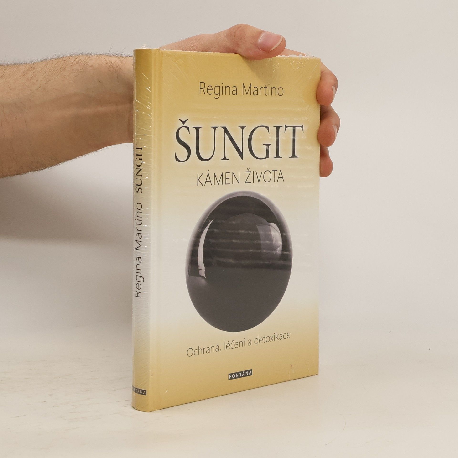 Regina Martino Šungit : kámen života : ochrana, léčení a detoxikace