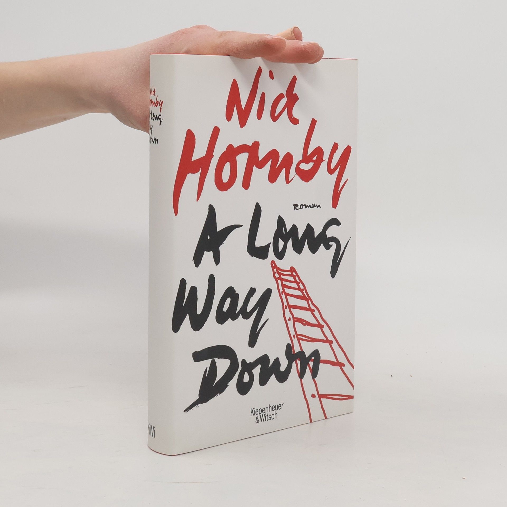 Nick Hornby A Long Way Down