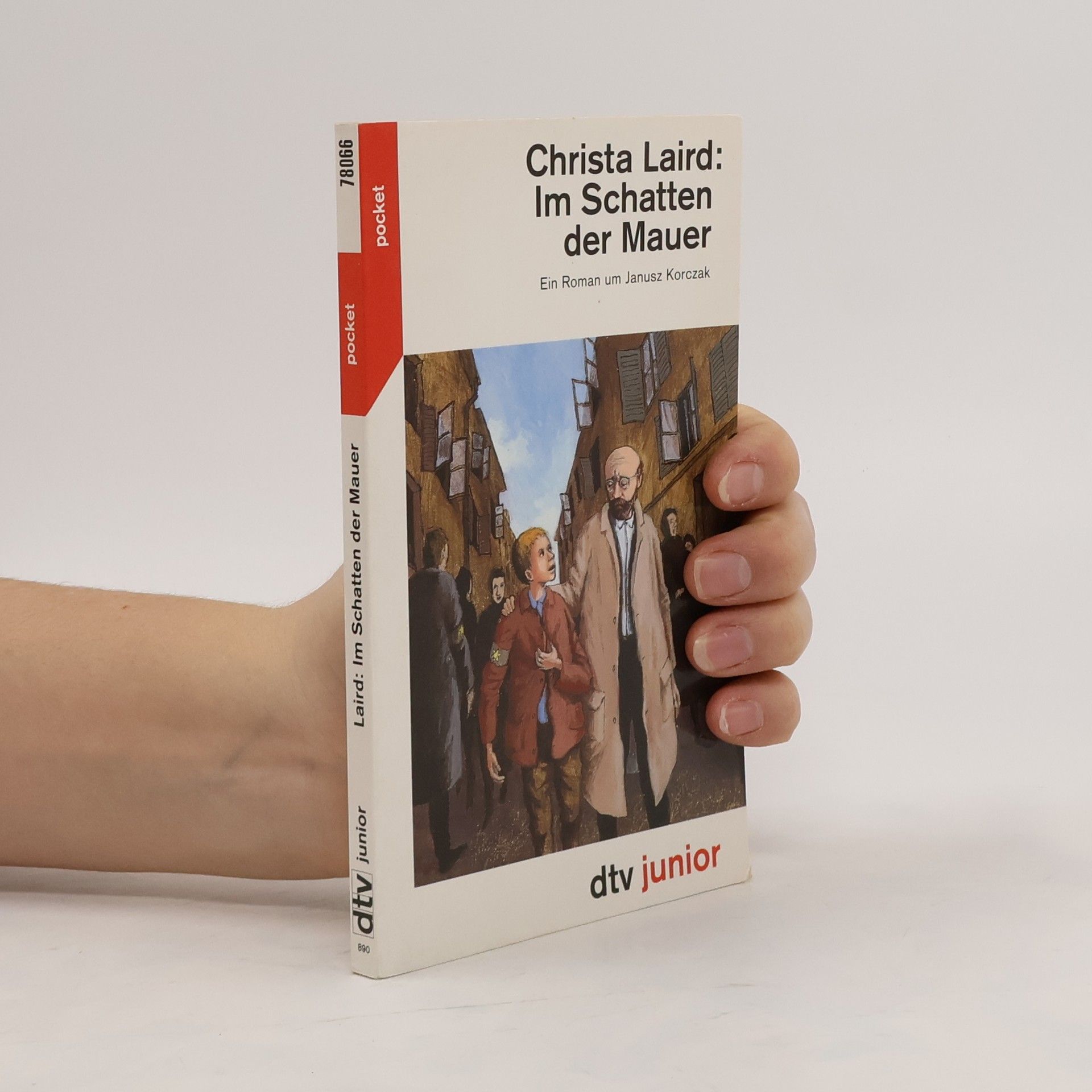 Christa Laird Im Schatten der Mauer