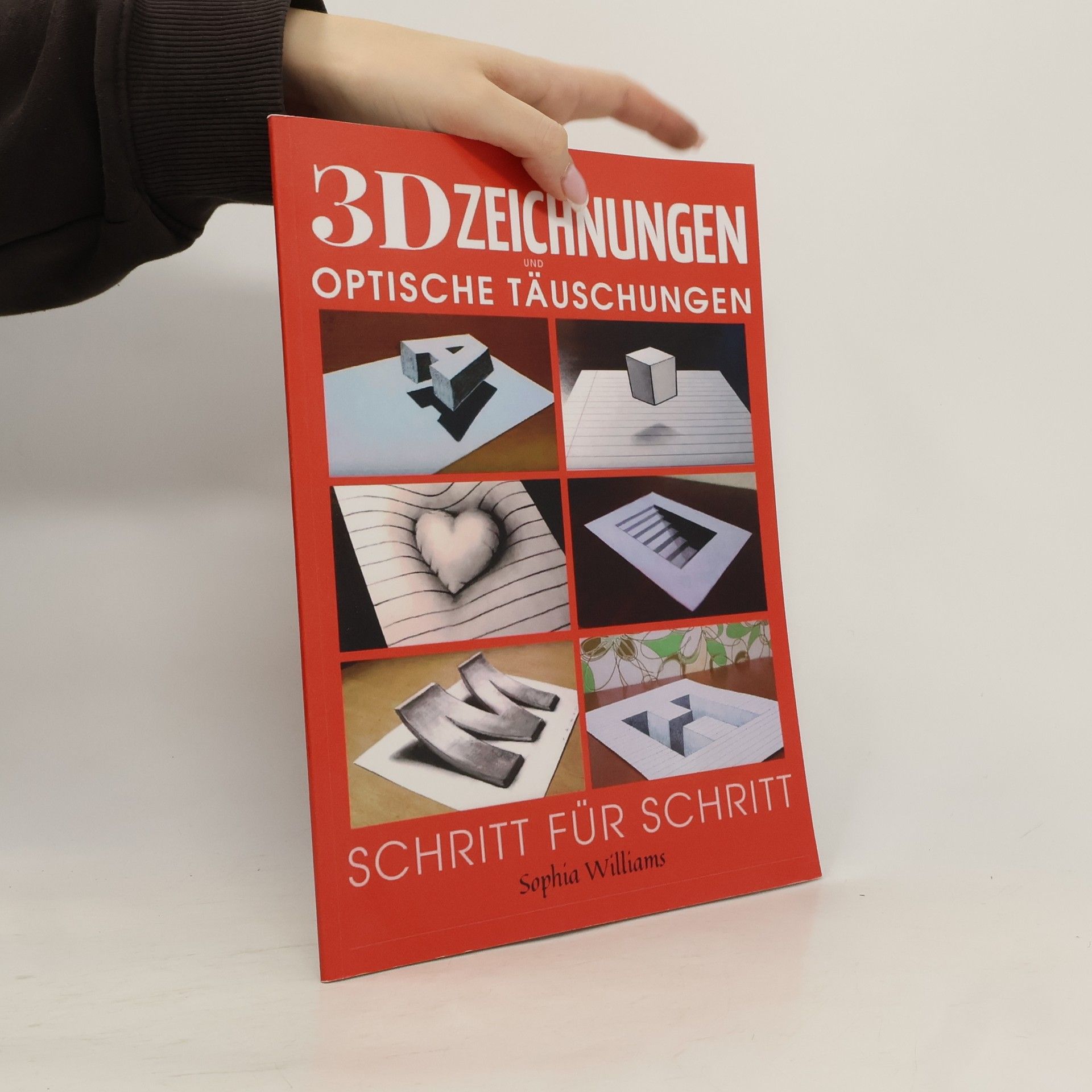 Sophia Williams 3D-Zeichnungen und optische Täuschungen