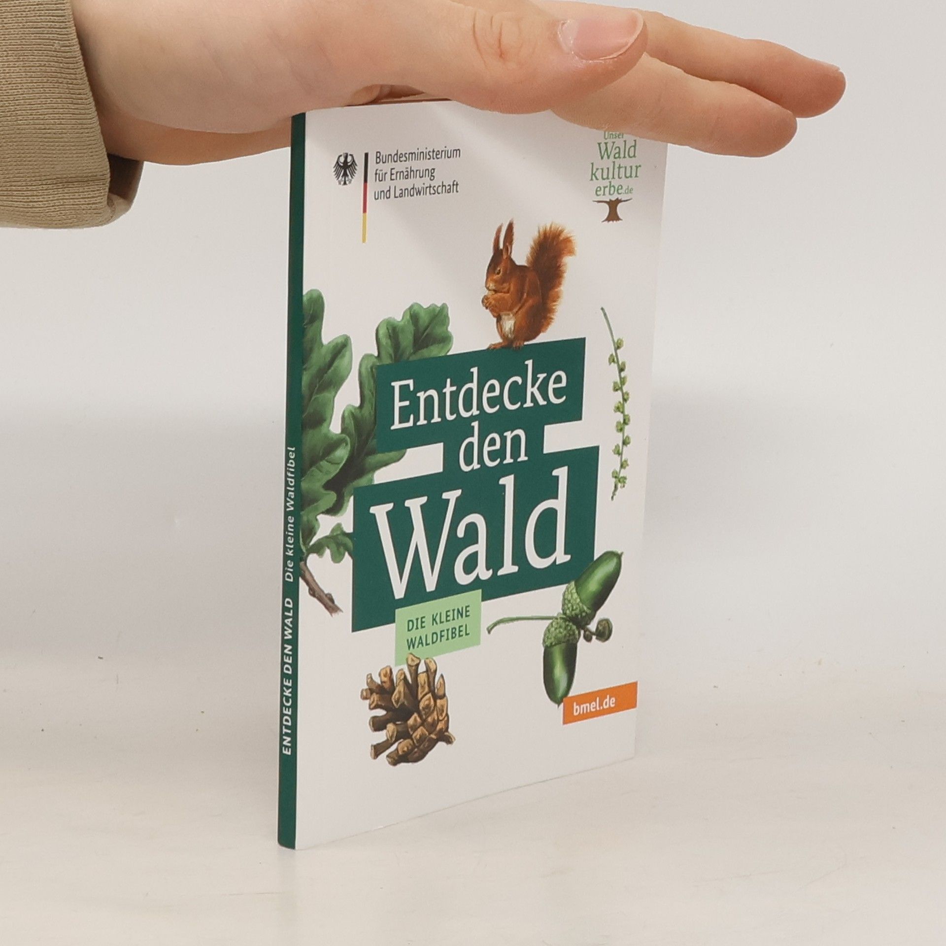 Auteurscollectief Entdecke den Wald. Die kleine Waldfibel