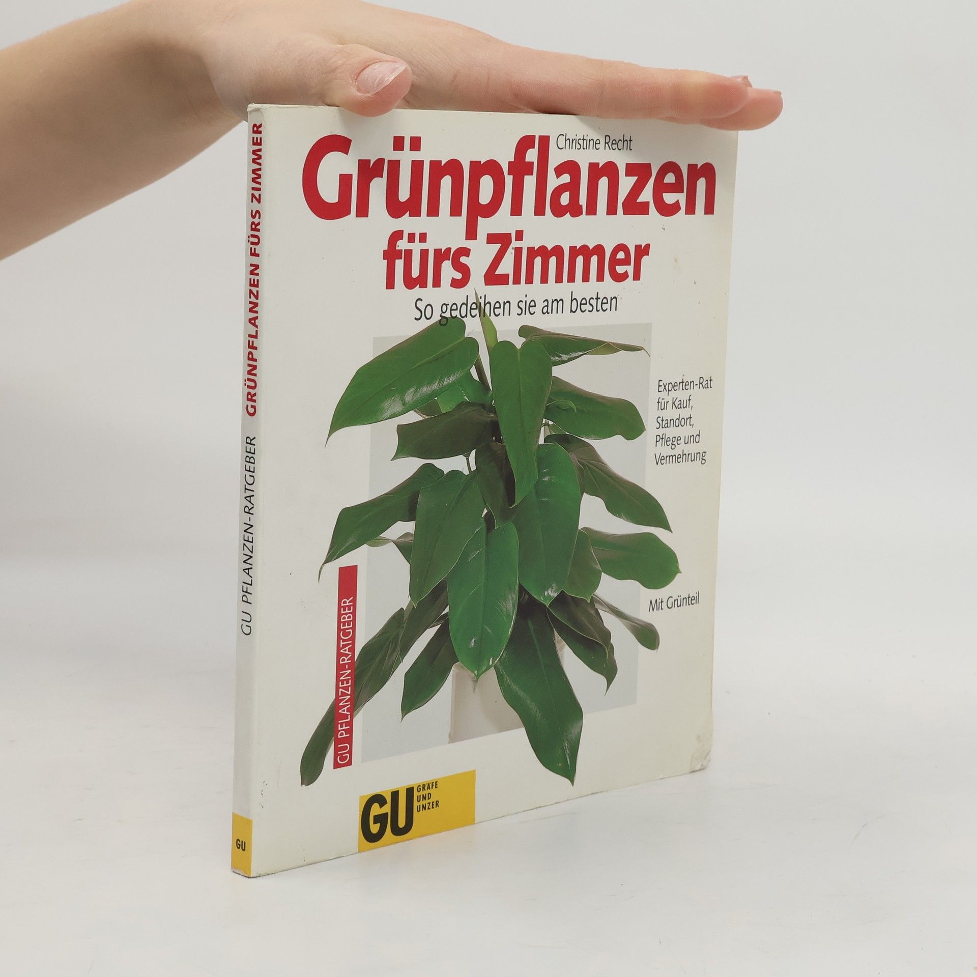 Collectif d'auteurs Grünpflanzen fürs Zimmer