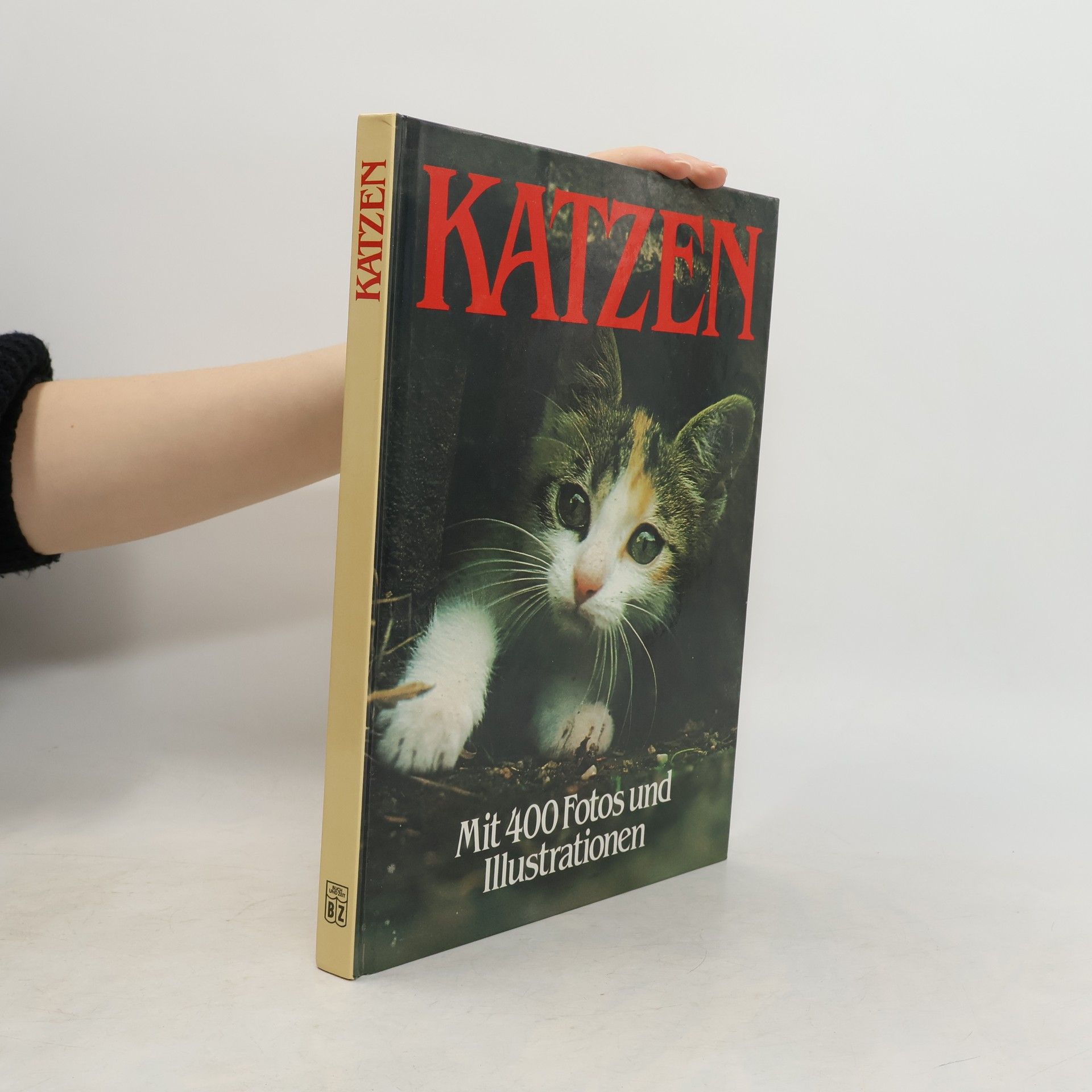 Autorenkollektiv Katzen