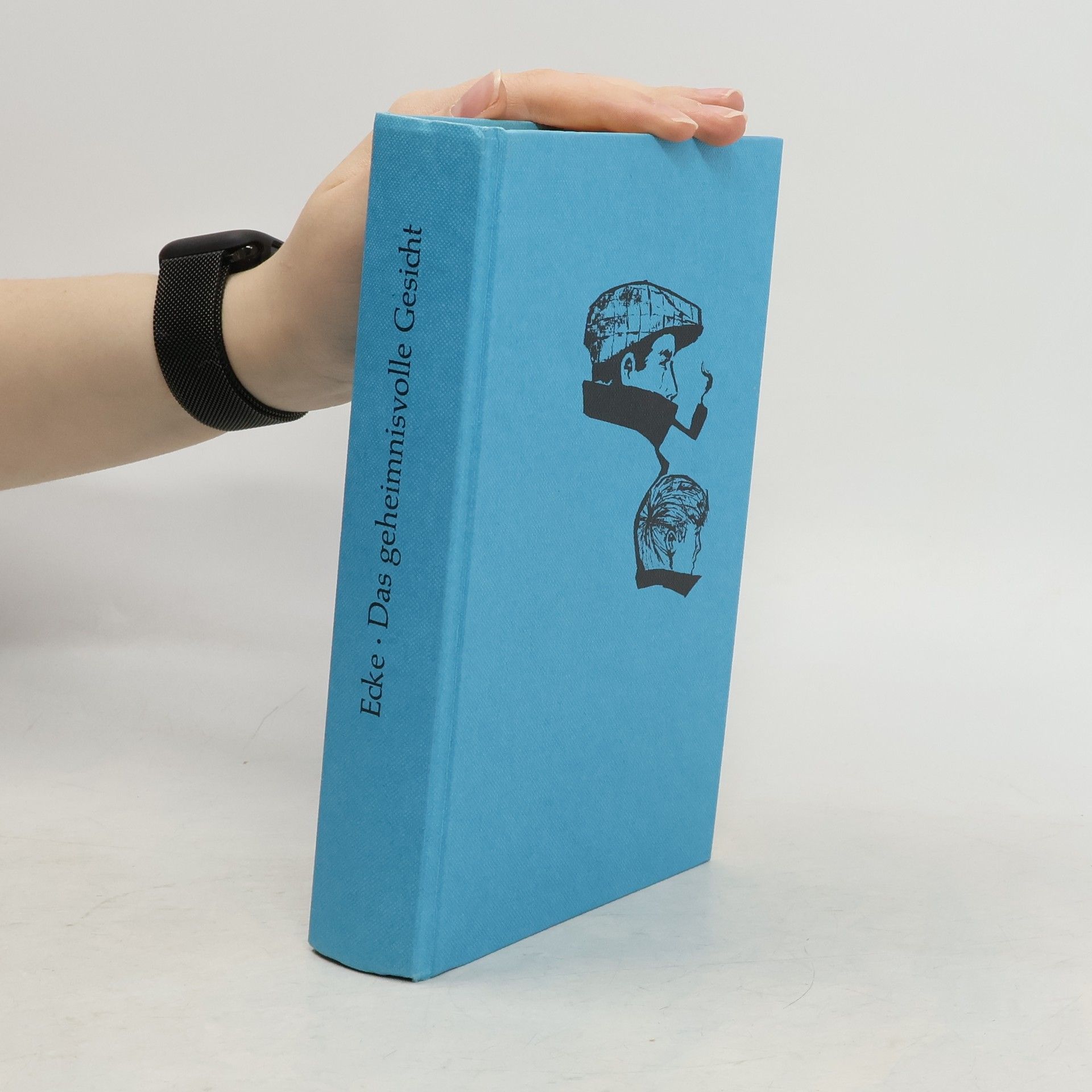 Wolfgang Ecke Das geheimnisvolle Gesicht