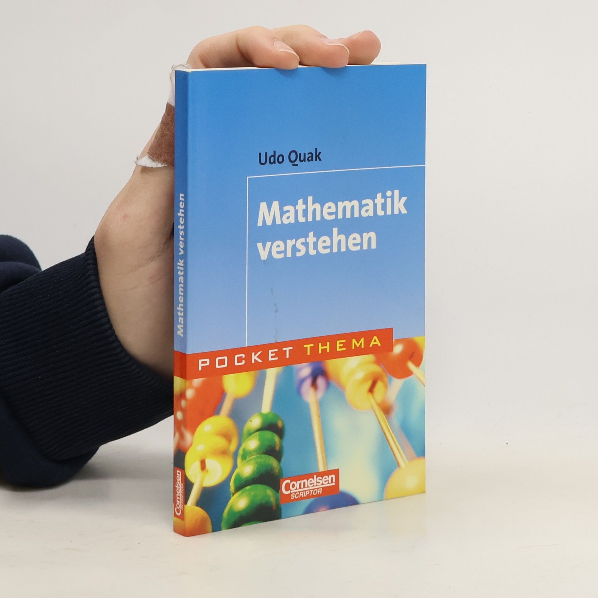 Mathematik verstehen