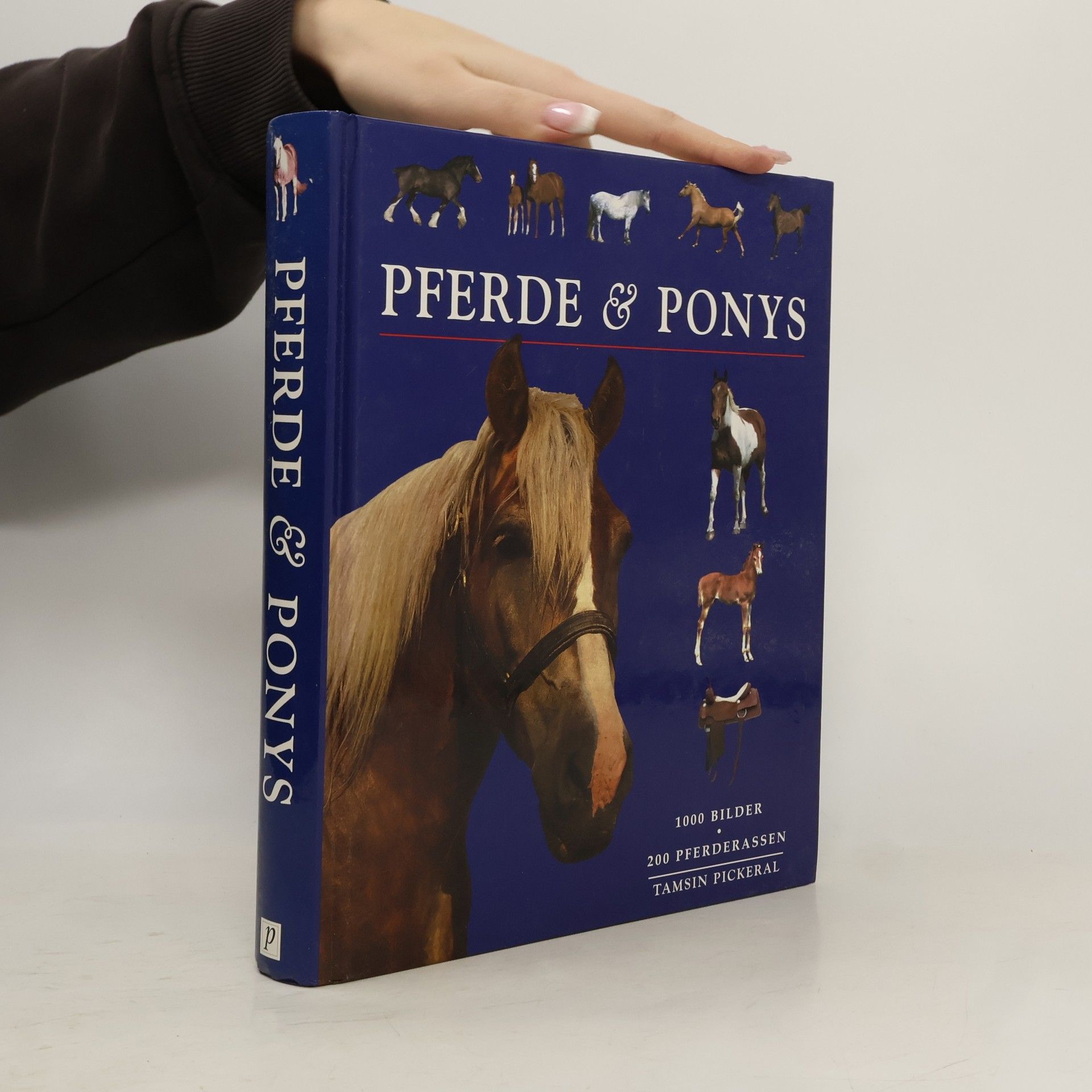 Tam Pickeral Pferde & Ponys