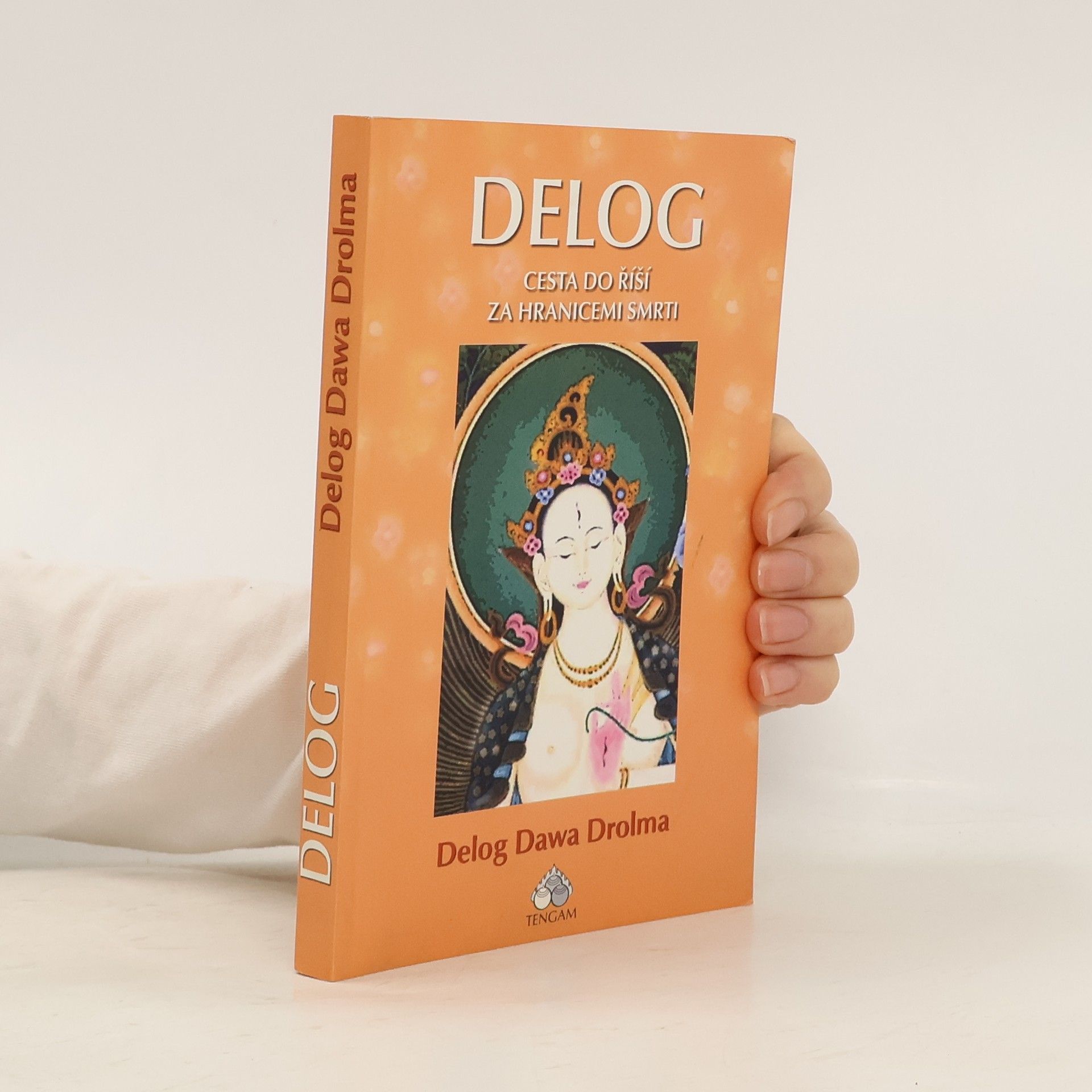 Delog Dawa Drolma Delog: Cesta do říší za hranicemi smrti