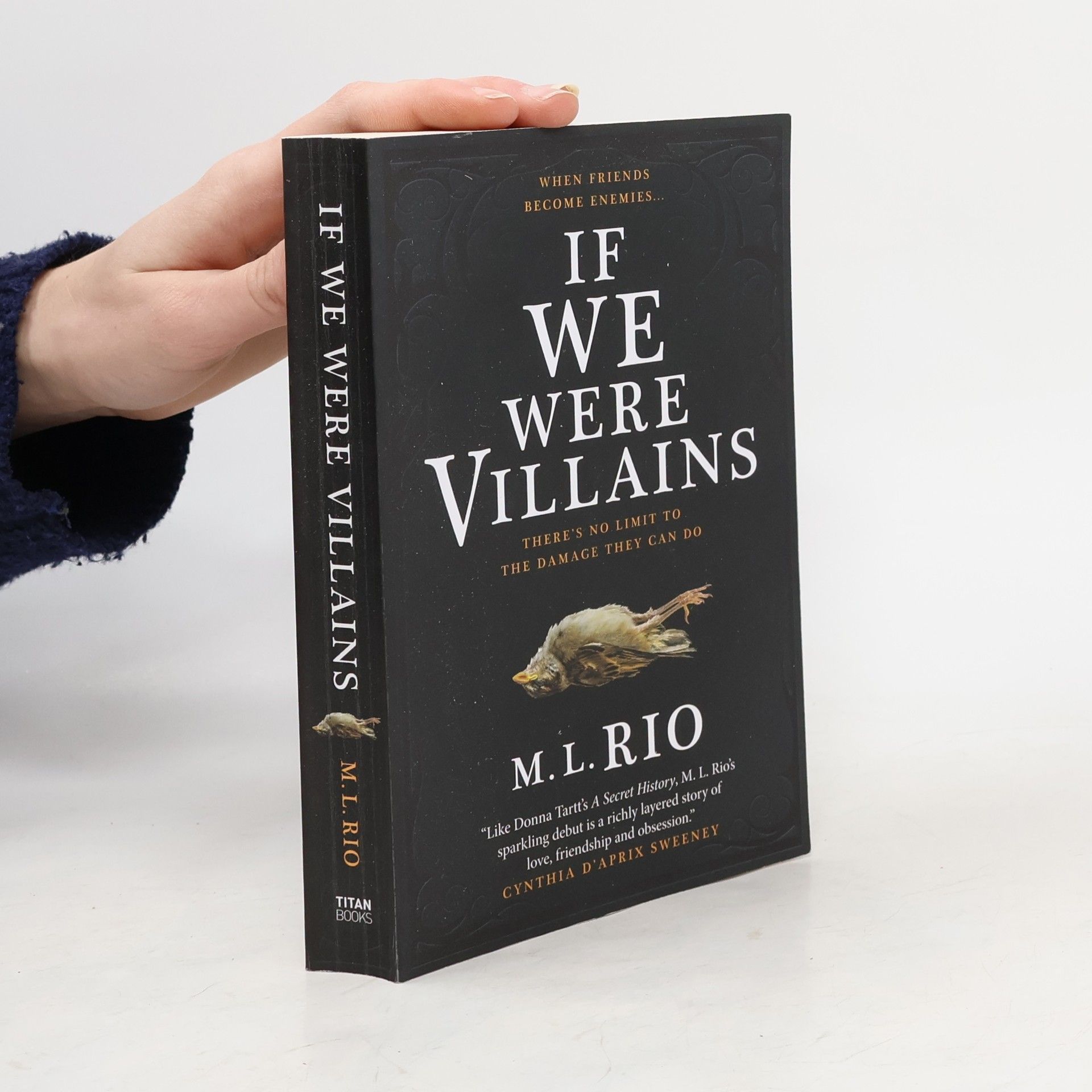 M. L. Rio If We Were Villains