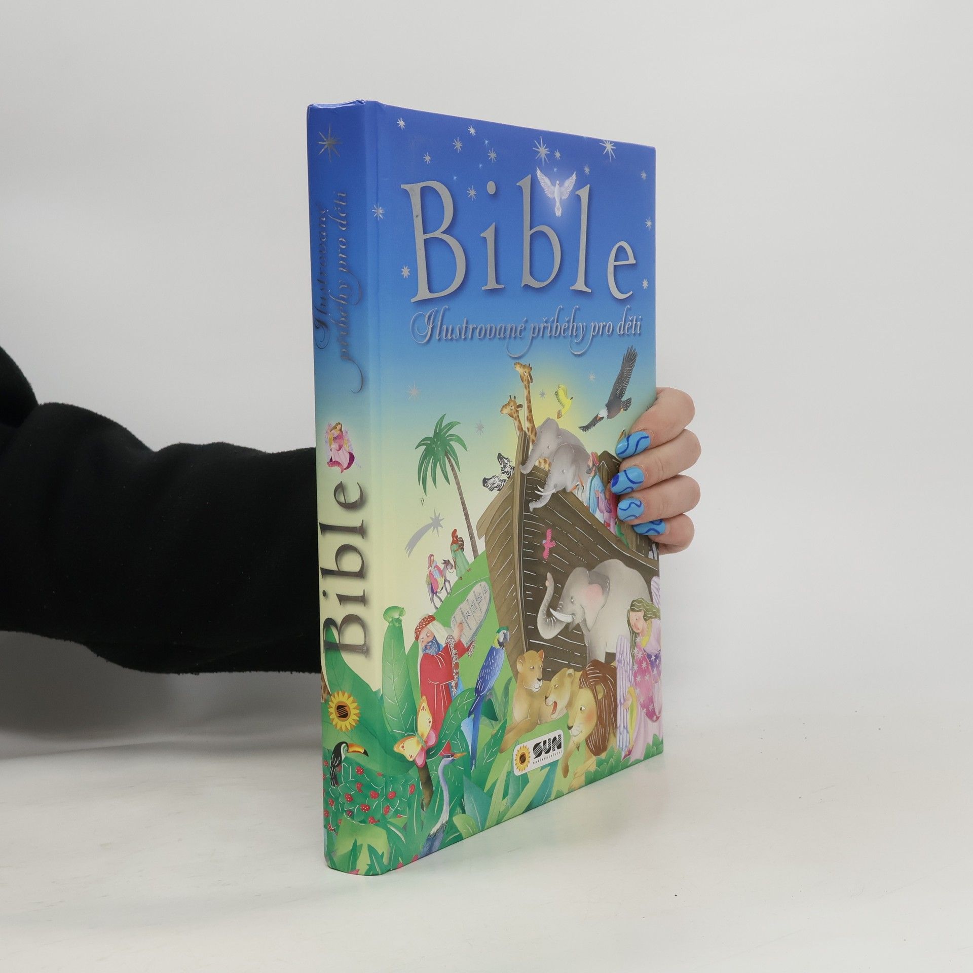 Autorenkollektiv Bible: ilustrované příběhy pro děti