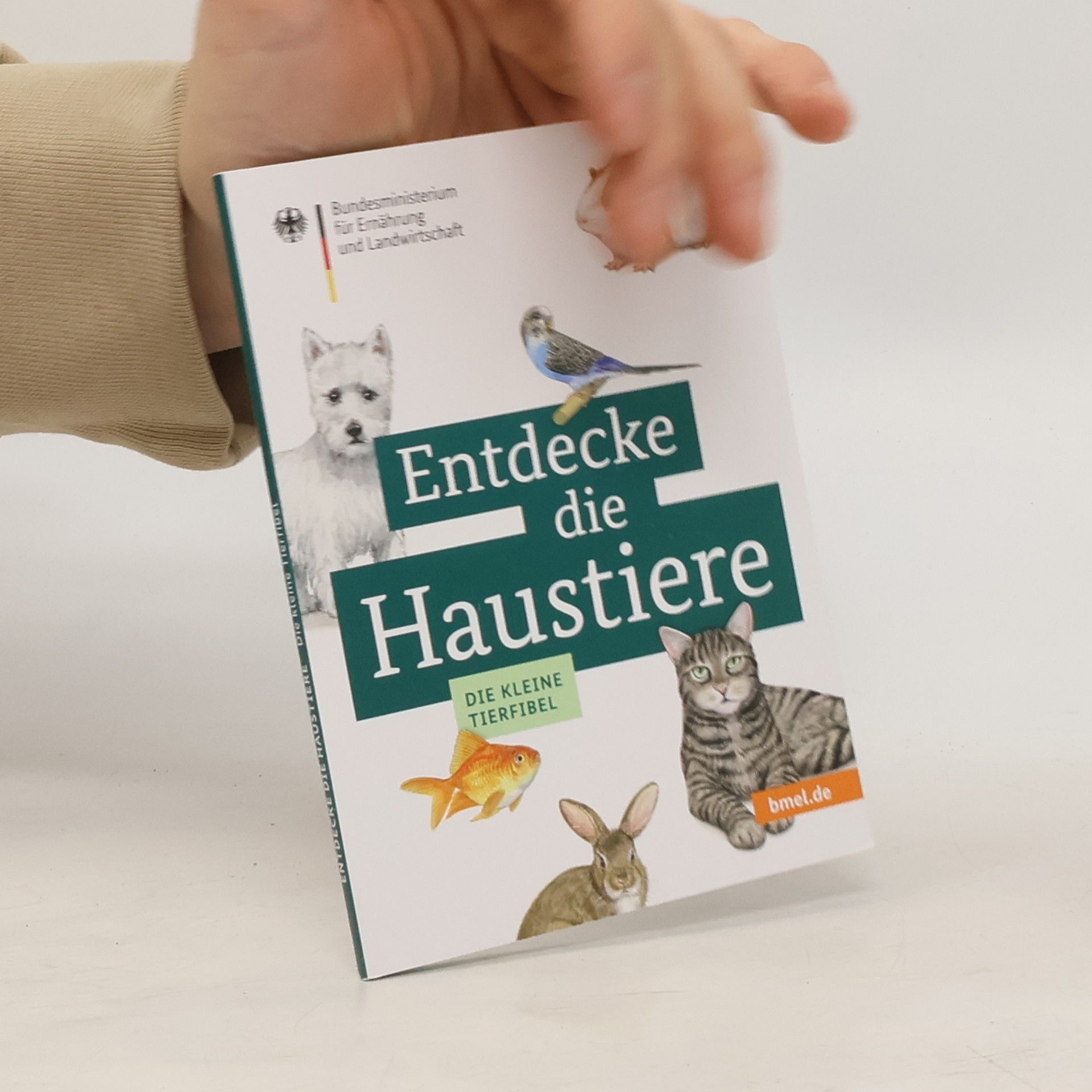 Autorenkollektiv Entdecke die Haustiere