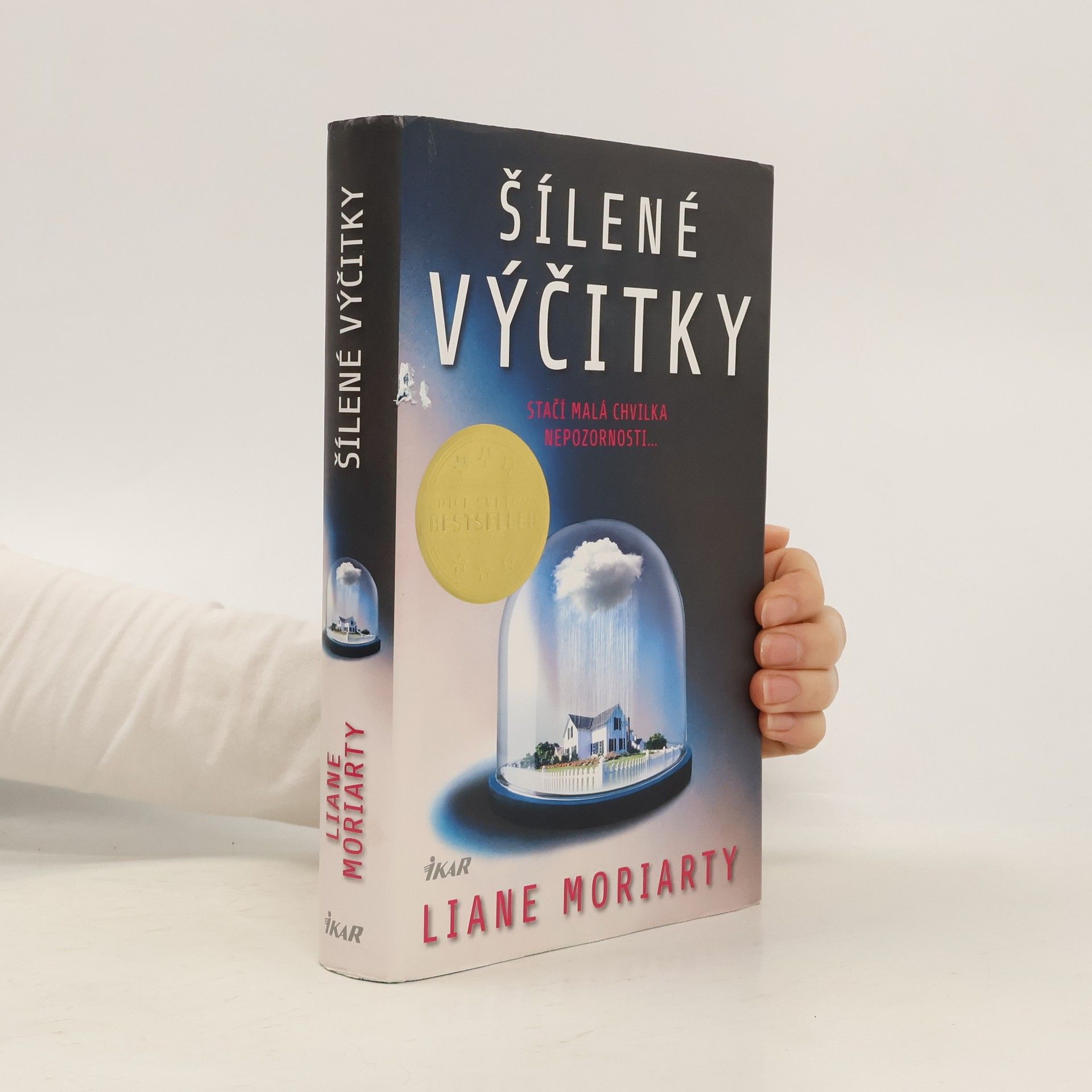 Liane Moriarty Šílené výčitky