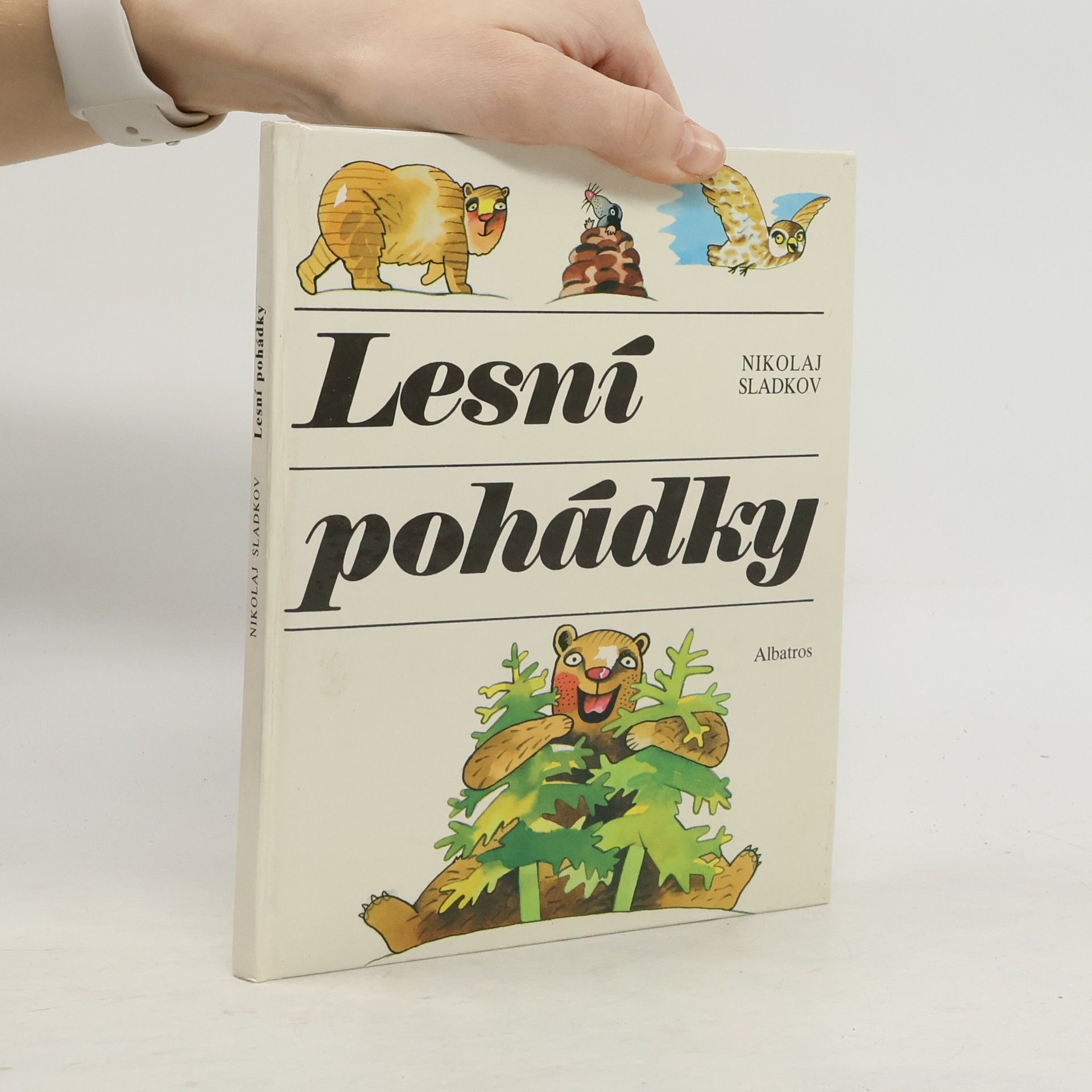 Lesní pohádky. Rok v severském lese