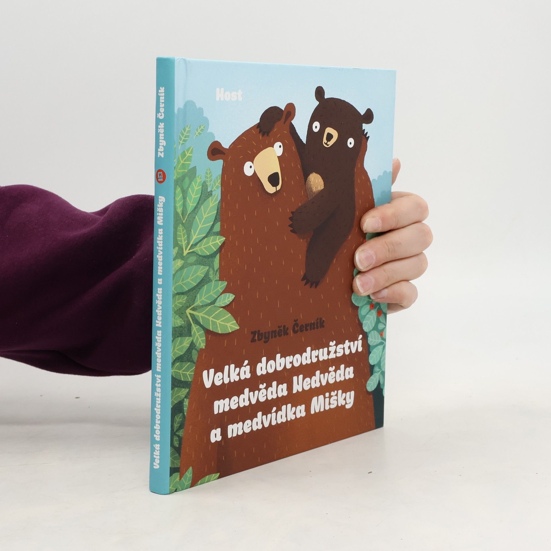 Velká dobrodružství medvěda Nedvěda a medvídka Mišky