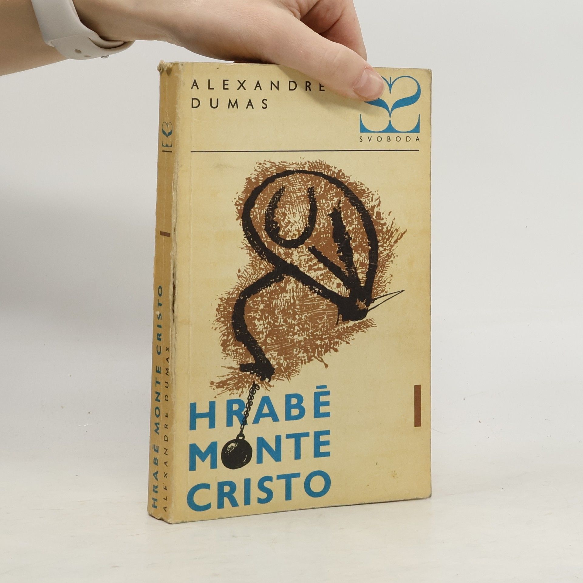 Hrabě Monte Christo I.