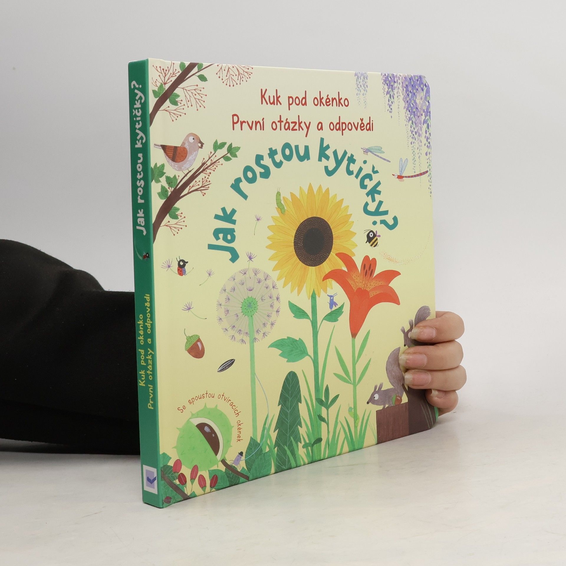 Katie Daynes Jak rostou kytičky?