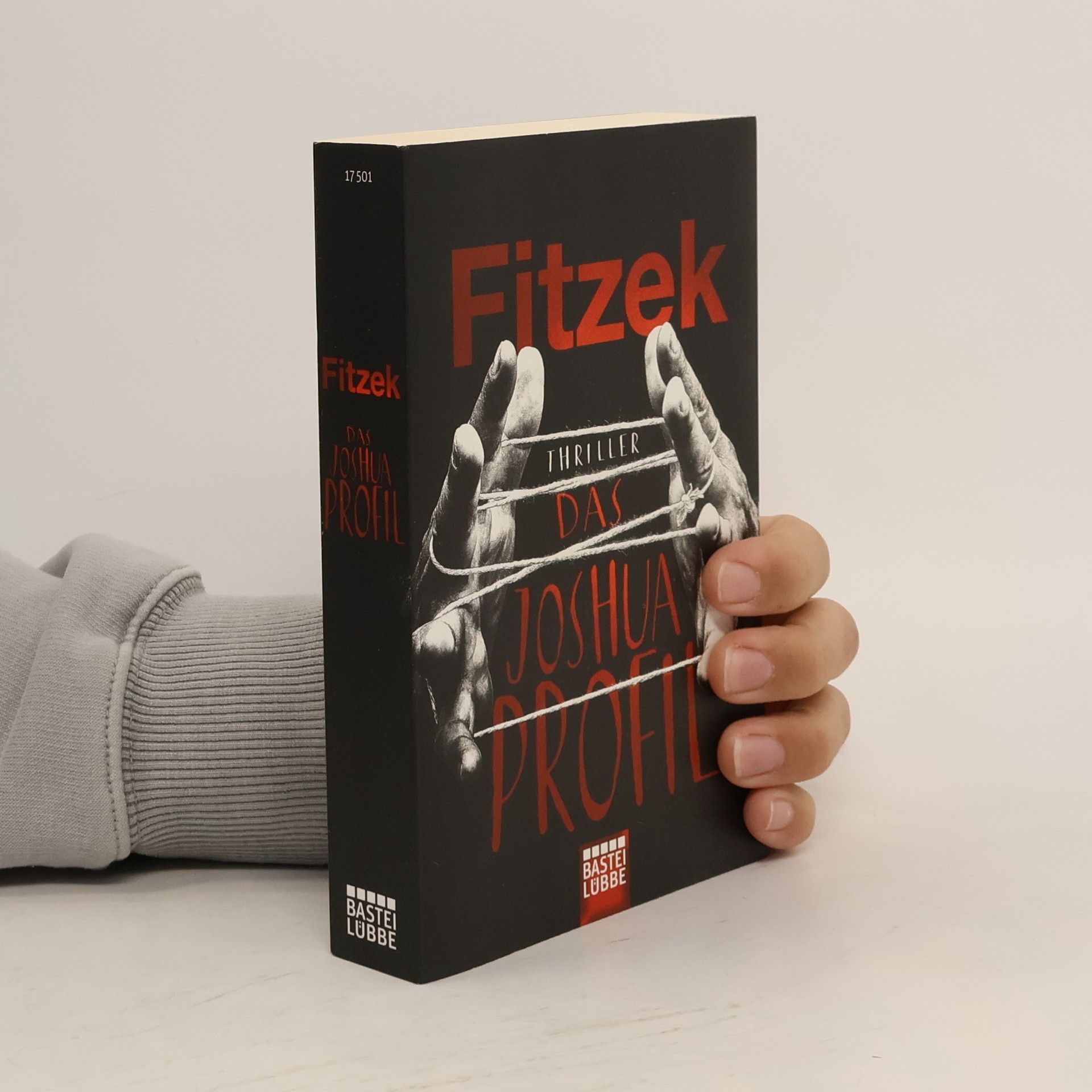 Sebastian Fitzek Das Joshua-Profil