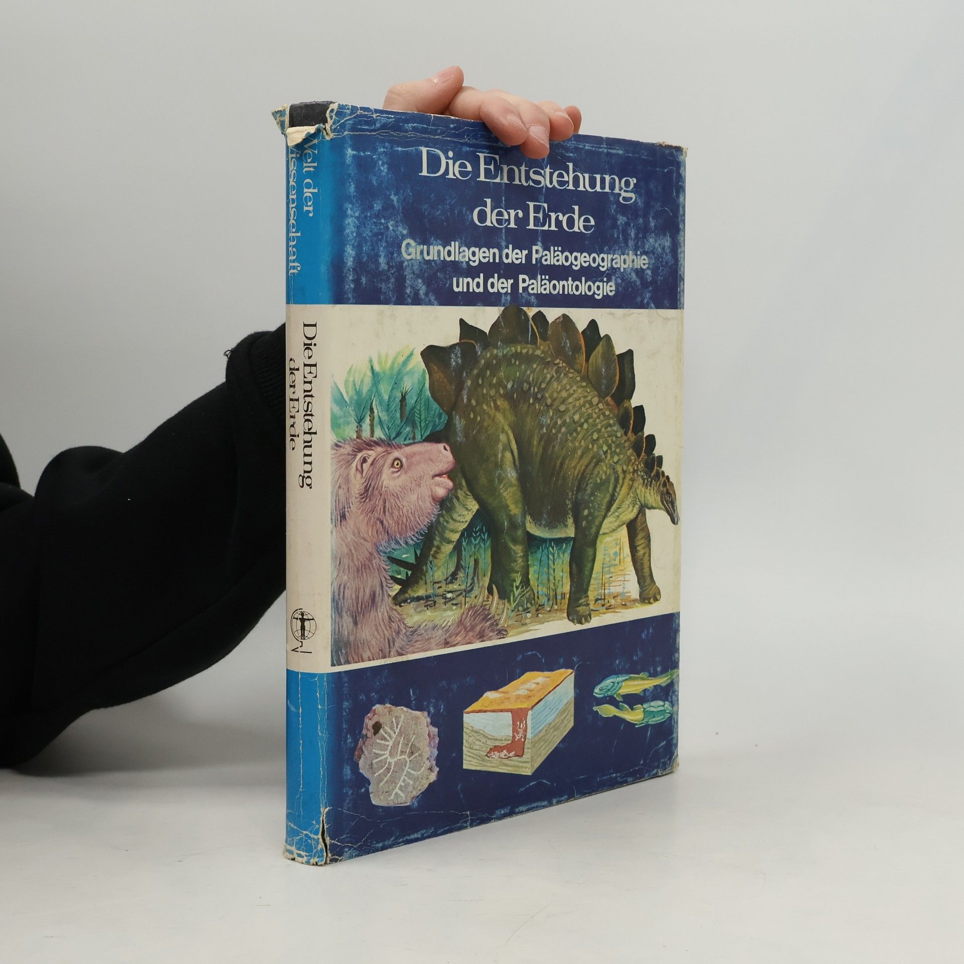 Die Entstehung der Erde