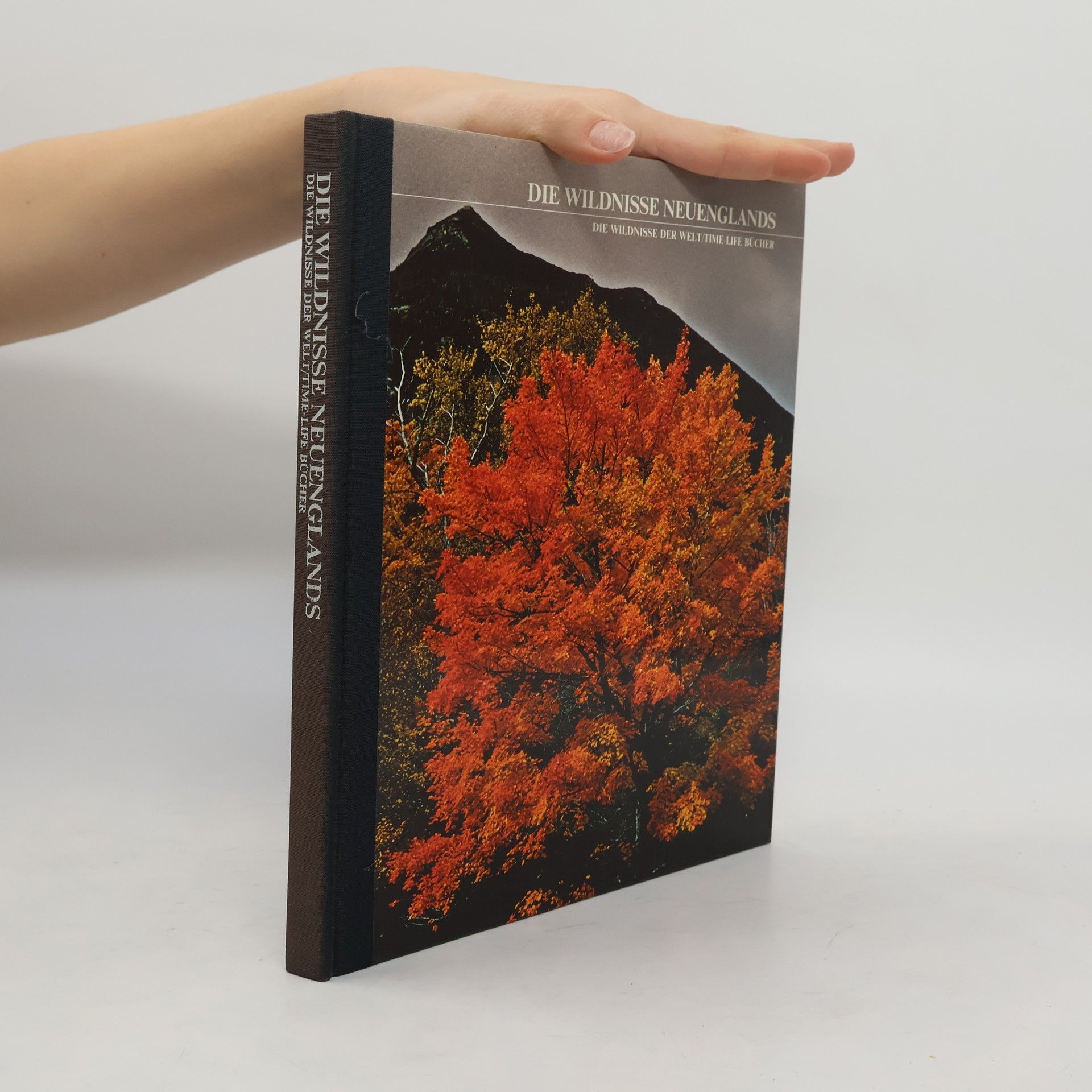 Autorenkollektiv Die Wildnisse Neuenglands