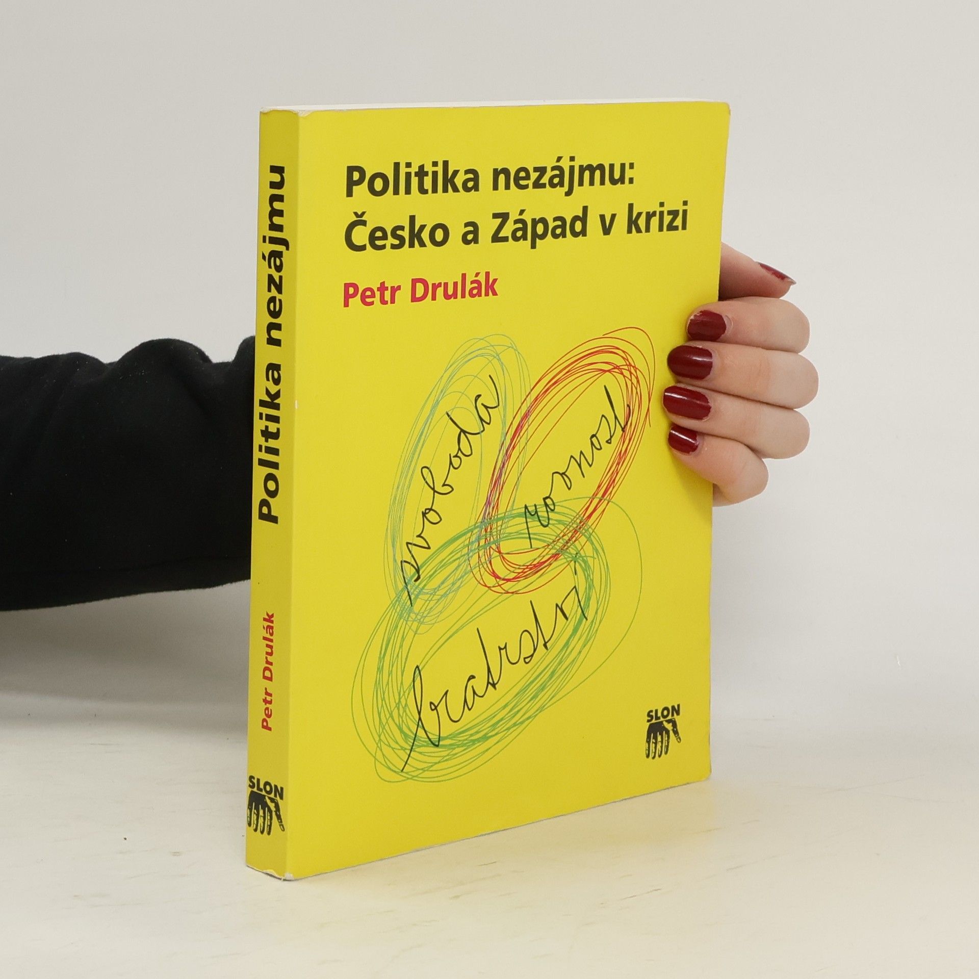 Petr Drulák Politika nezájmu