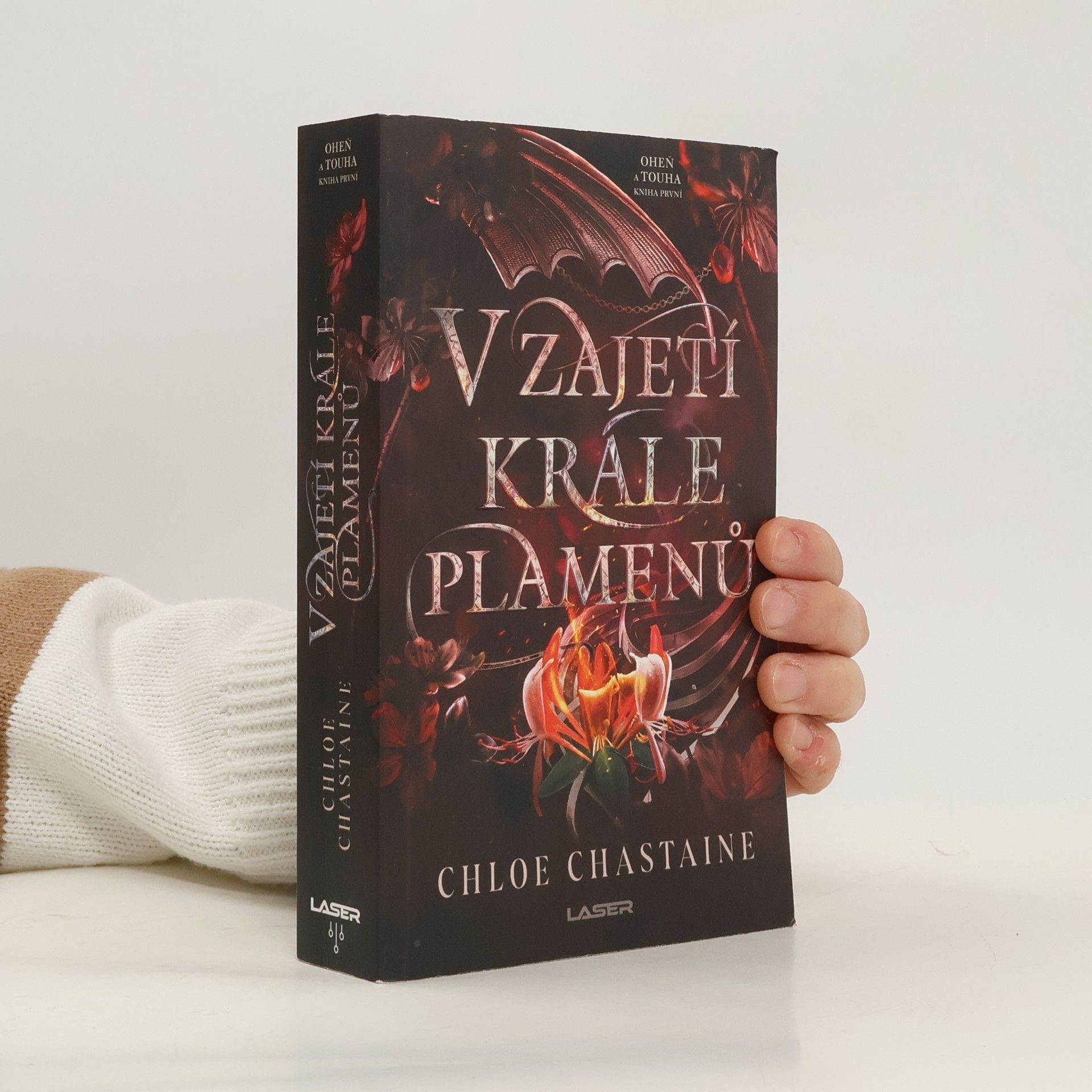 Chloe Chastaine V zajetí krále plamenů