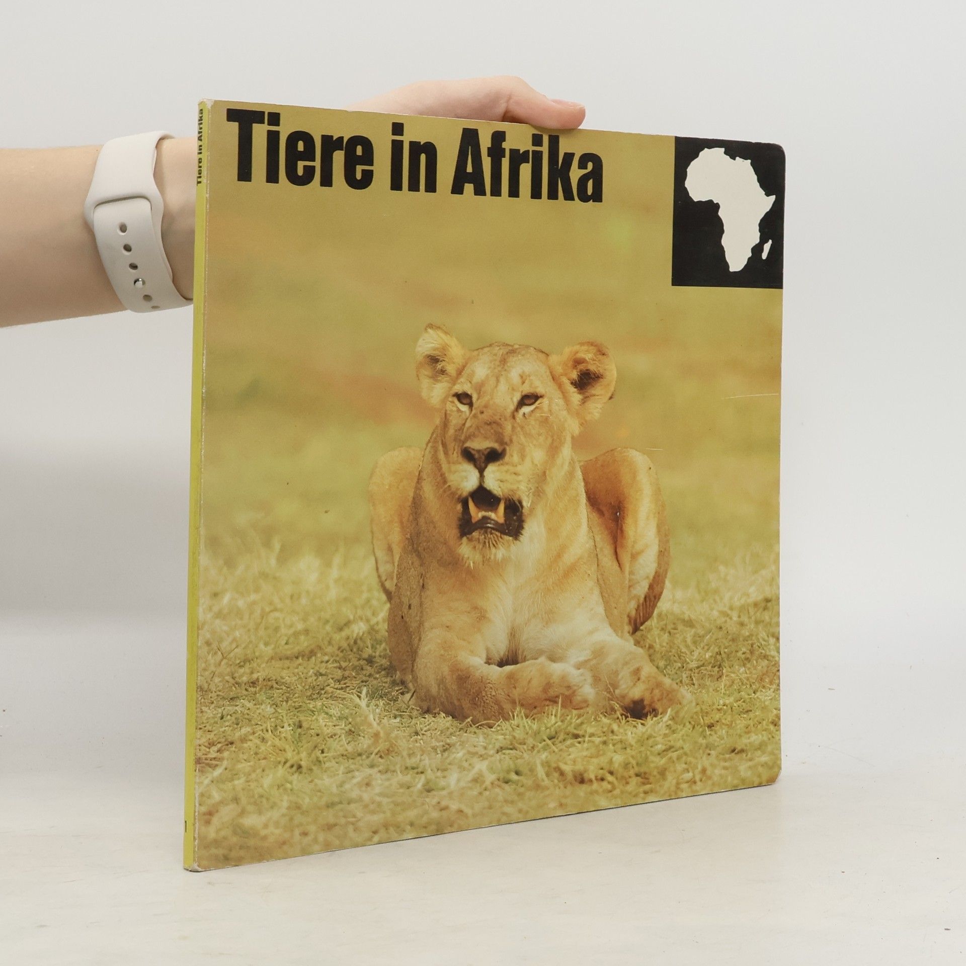 Autorenkollektiv Tiere in Afrika