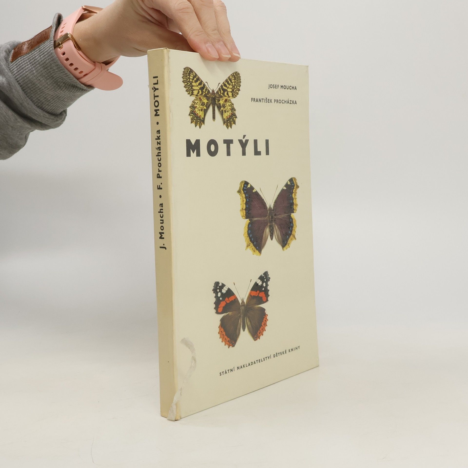 František Procházka Motýli
