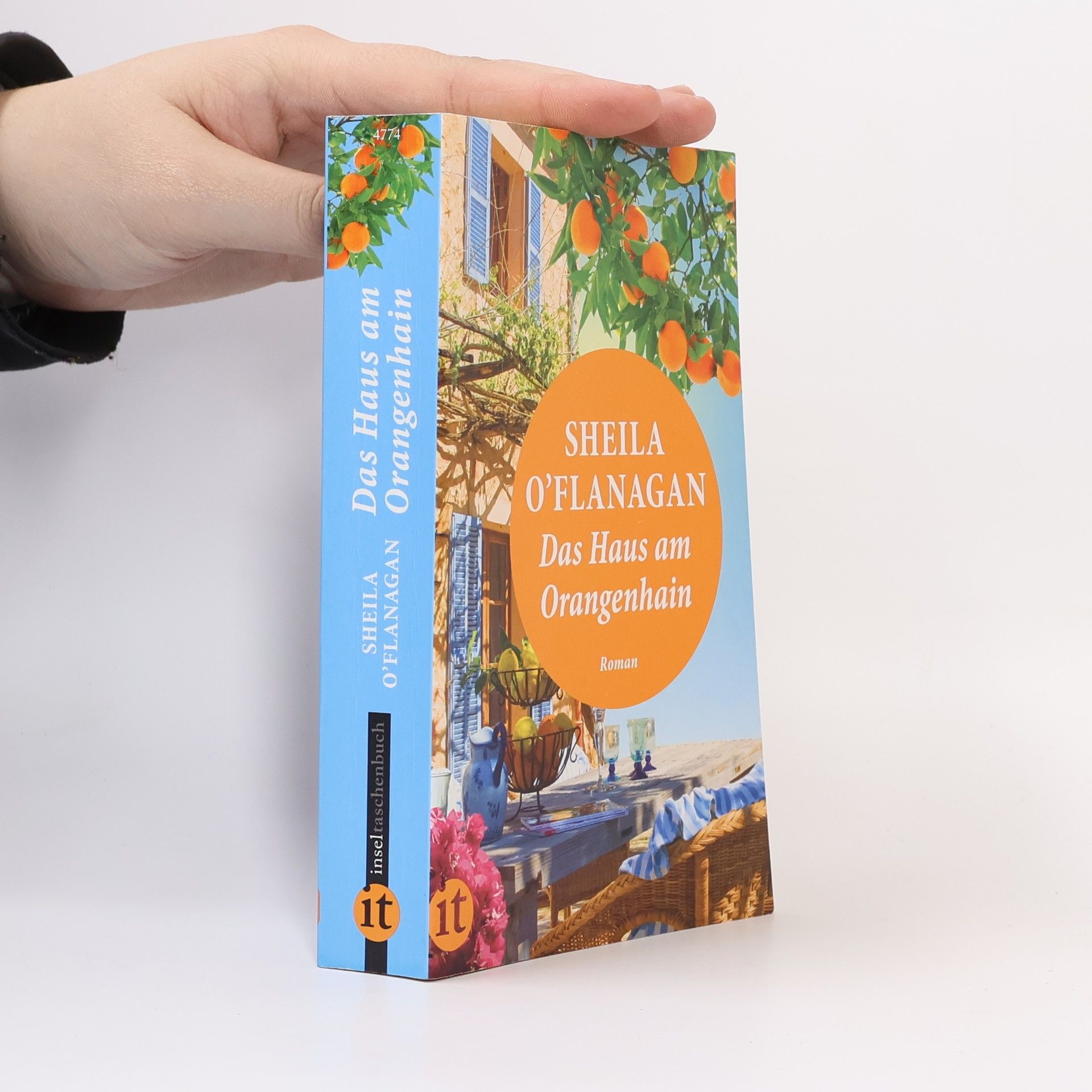 Sheila O'Flanagan Das Haus am Orangenhain