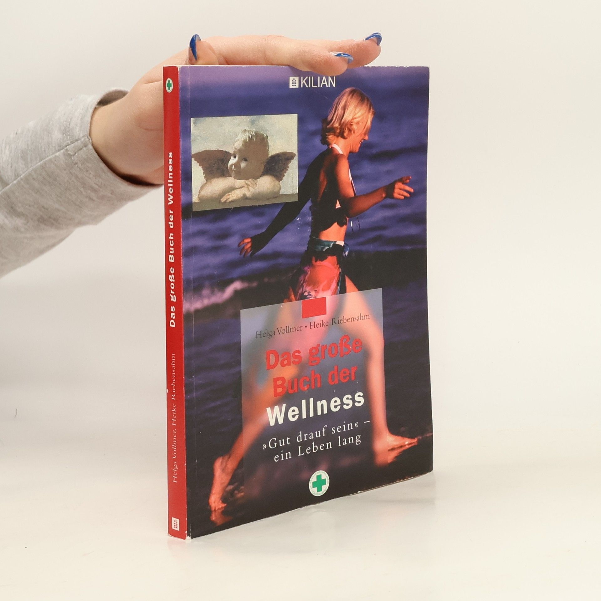 Helga Vollmer Das große Buch der Wellness