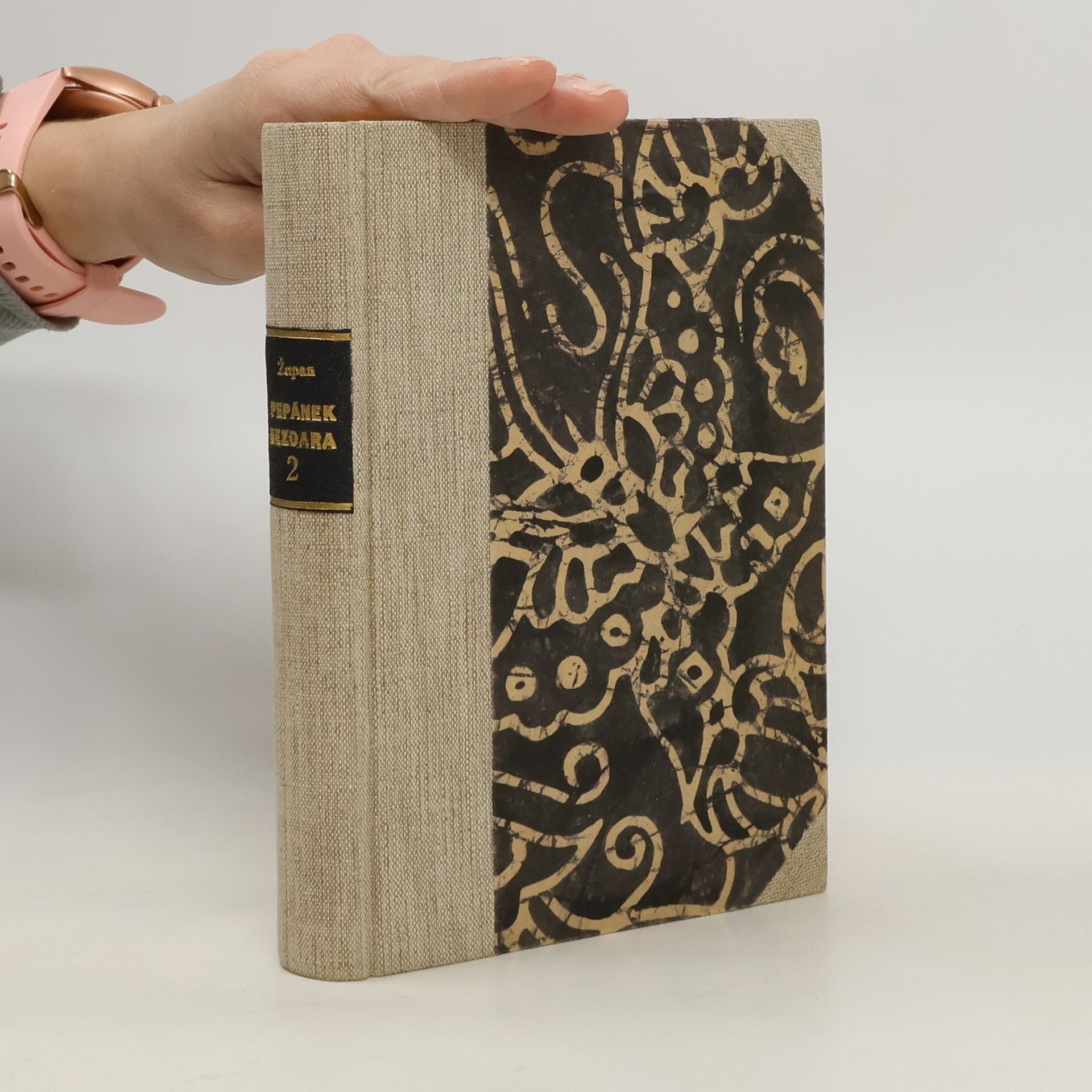 Pepánek Nezdara III. Lojzík vychovatelem