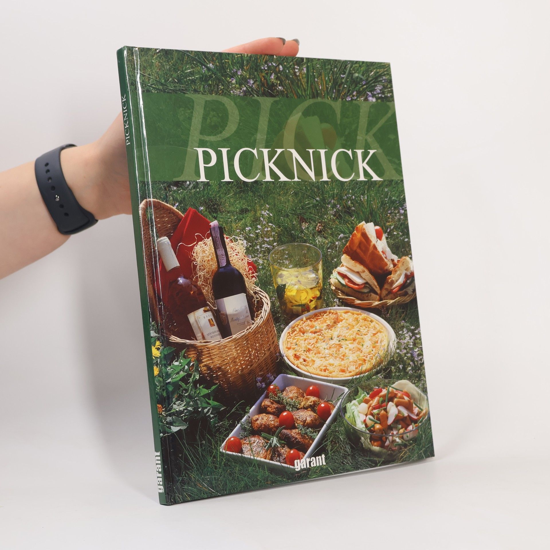 Autores varios Picknick