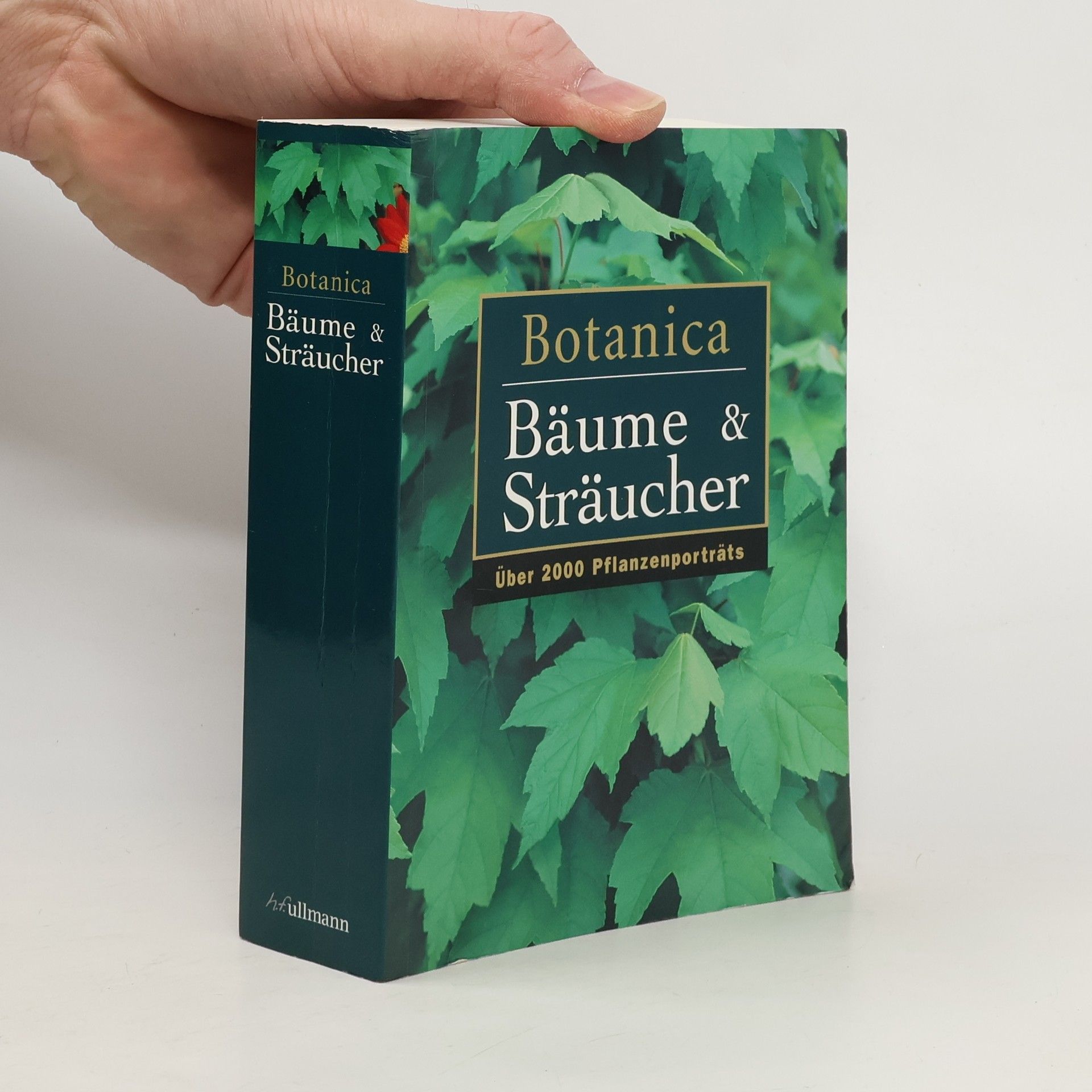 Autorenkollektiv Botanica Bäumer und Sträucher