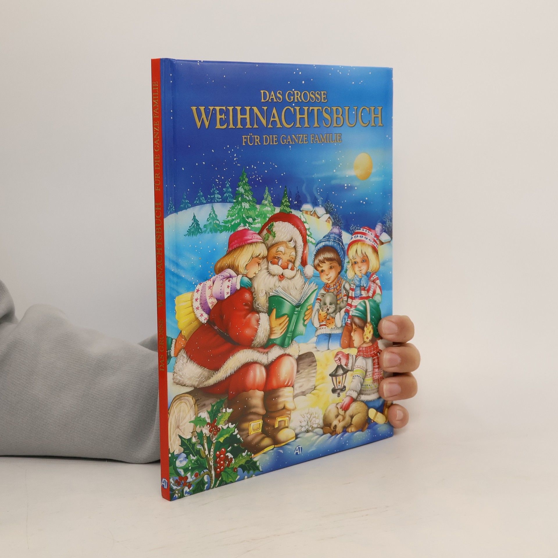 Kolektiv autorů Das große Weihnachtsbuch für die ganze Familie