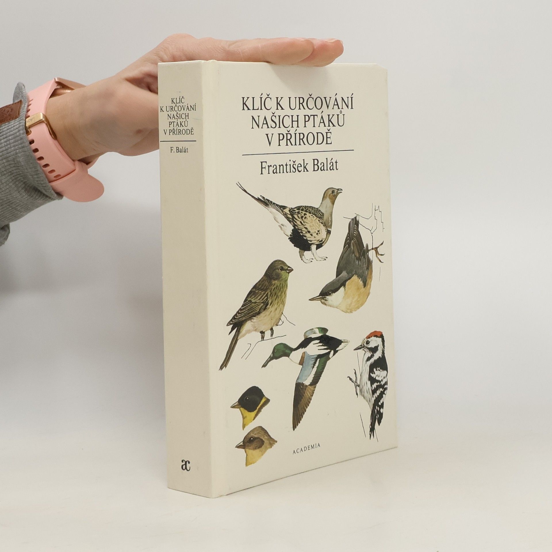 Klíč k určování našich ptáků v přírodě