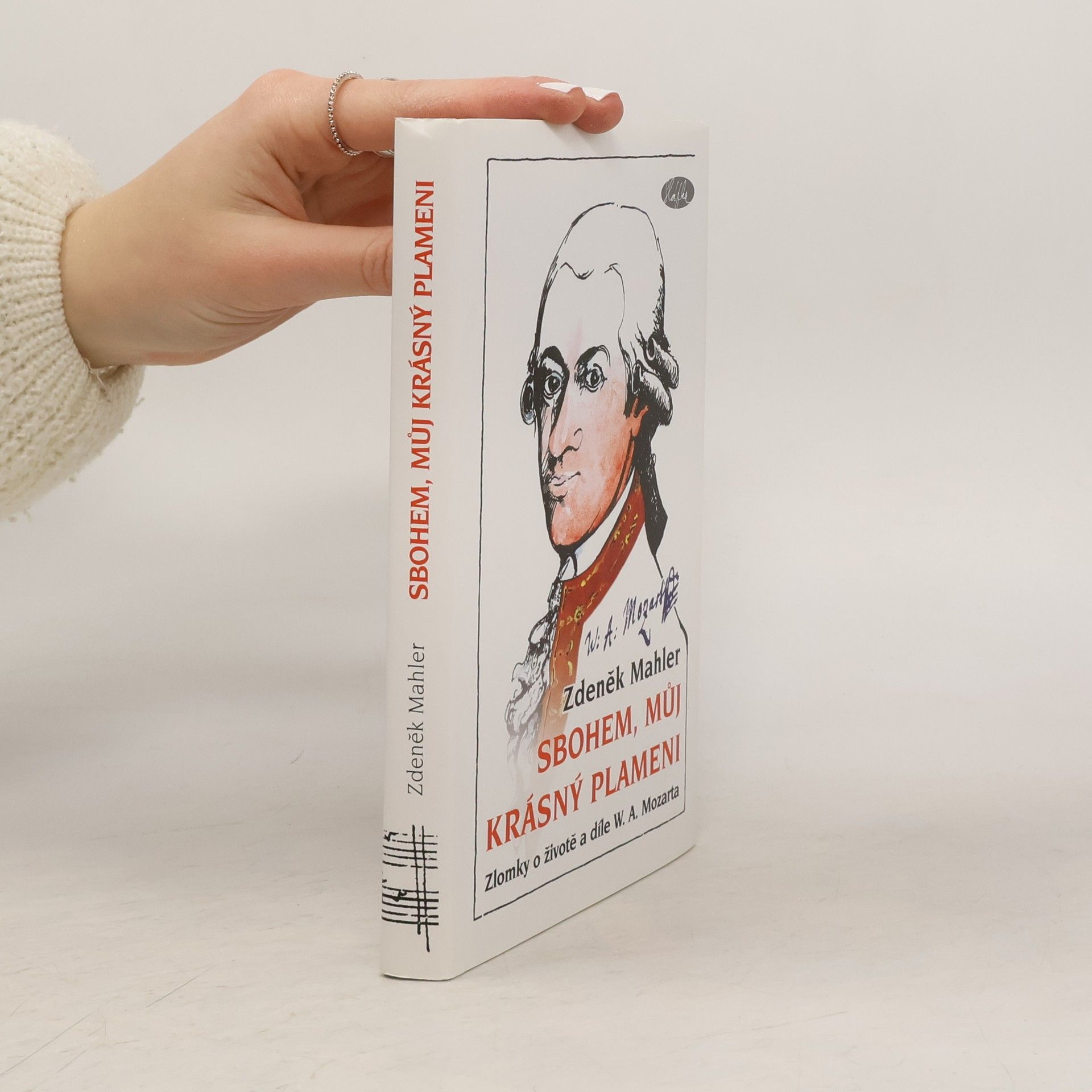Zdeněk Mahler Sbohem, můj krásný plameni