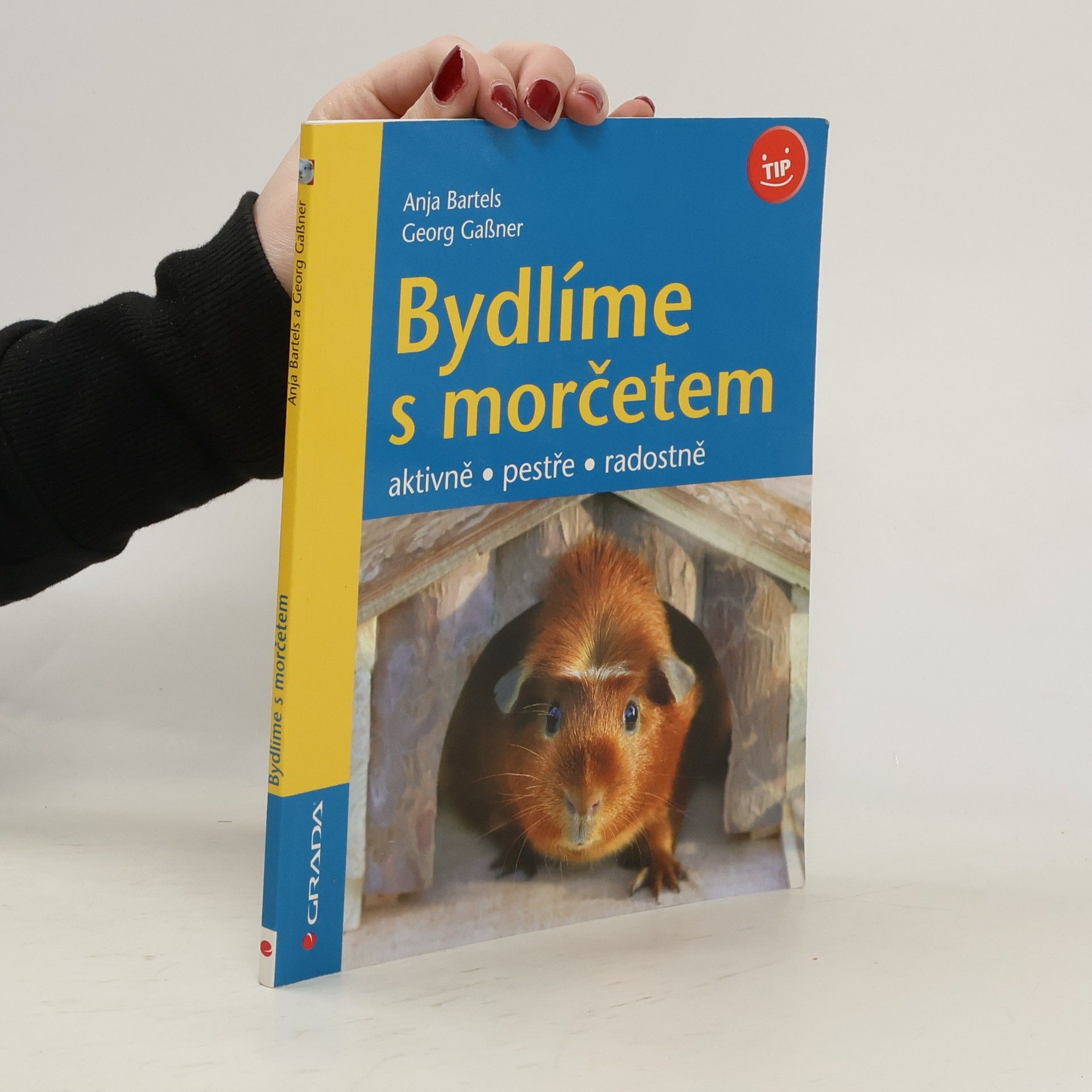 Anja Bartels Bydlíme s morčetem