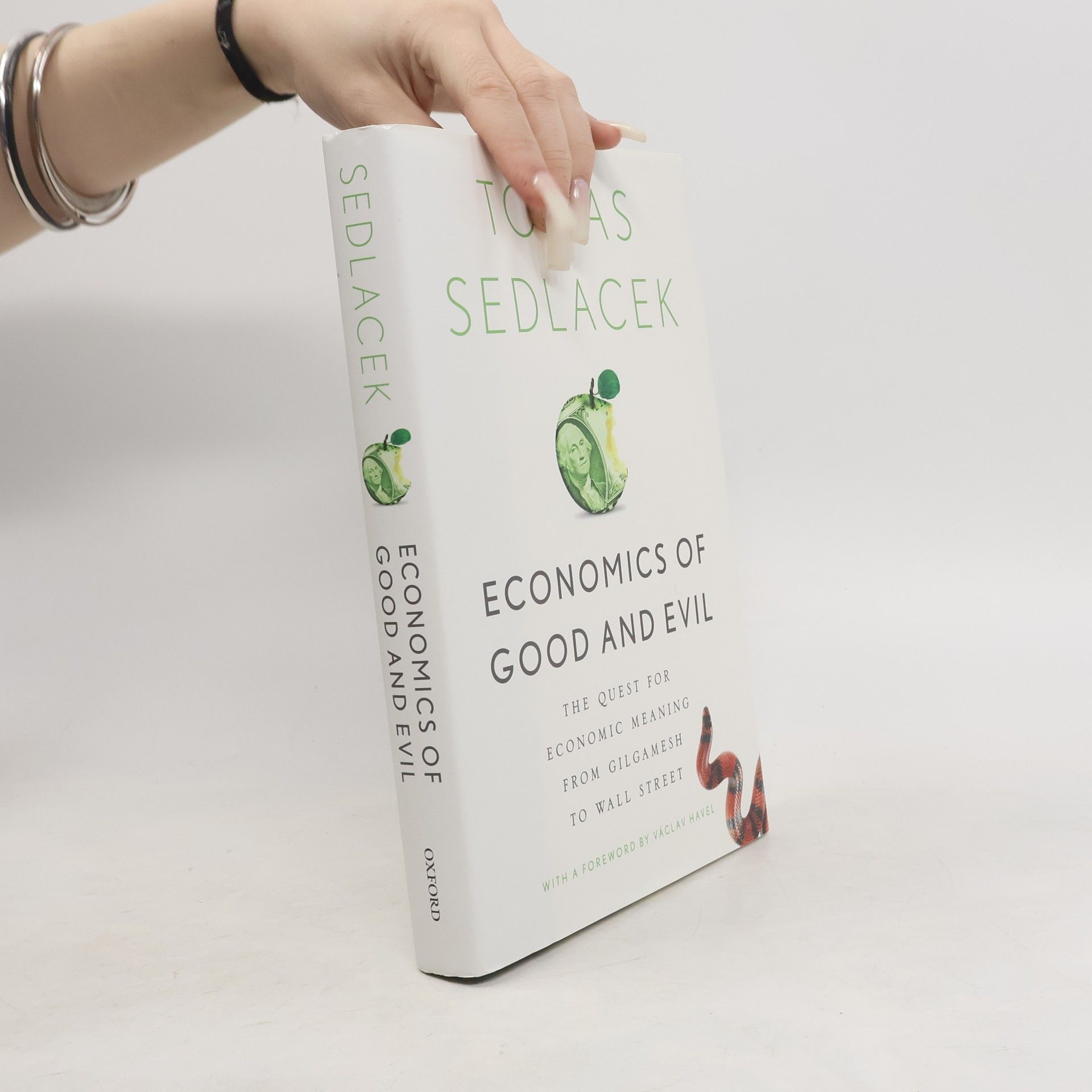 Tomáš Sedláček Economics of good and evil : the quest for economic meaning from Gilgamesh to Wall Street