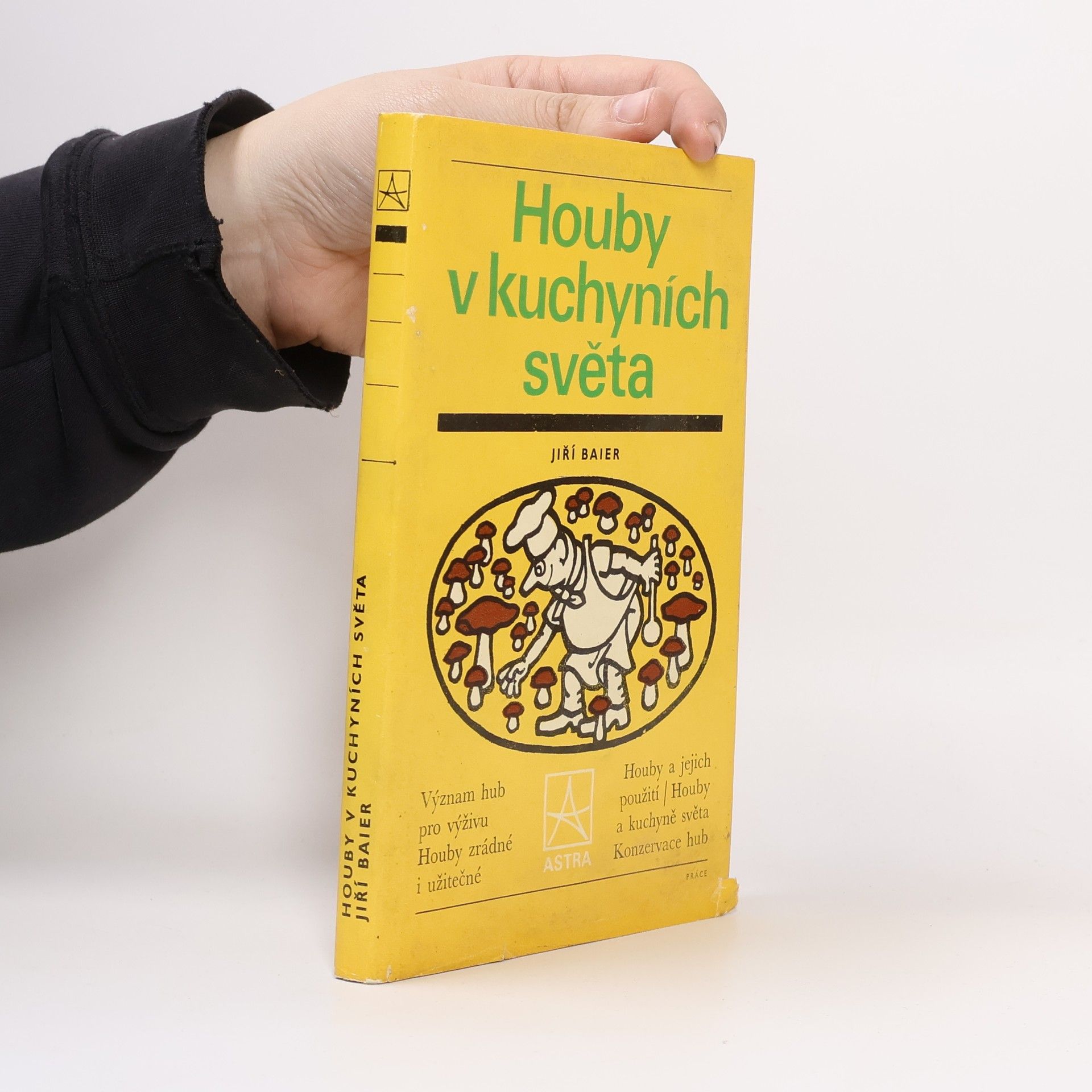 Houby v kuchyních světa