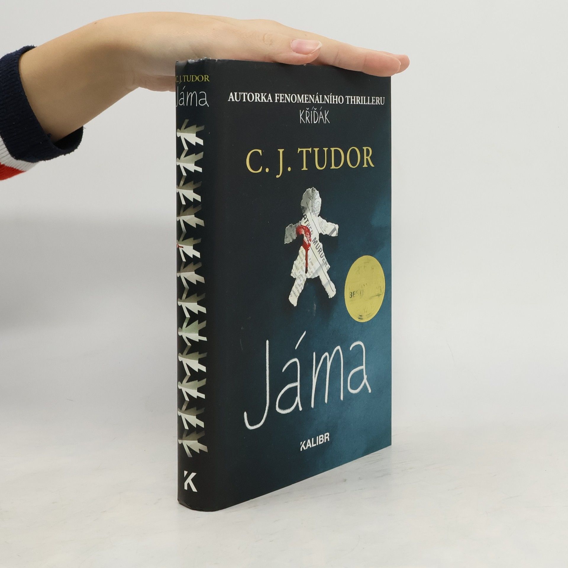 C. J. Tudor Jáma