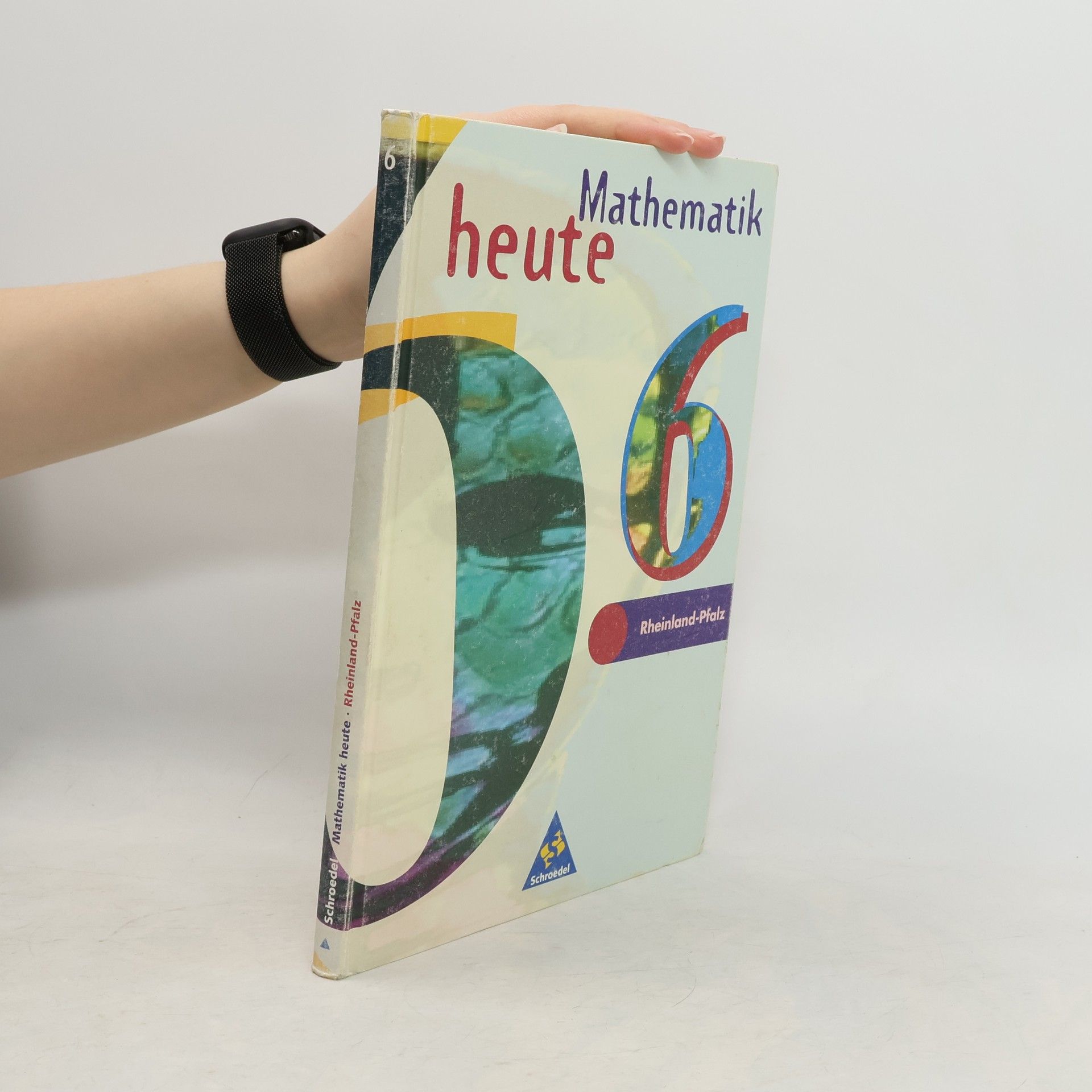 Heinz Griesel Mathematik heute, Realschule Rheinland-Pfalz, Euro, 6. Schuljahr