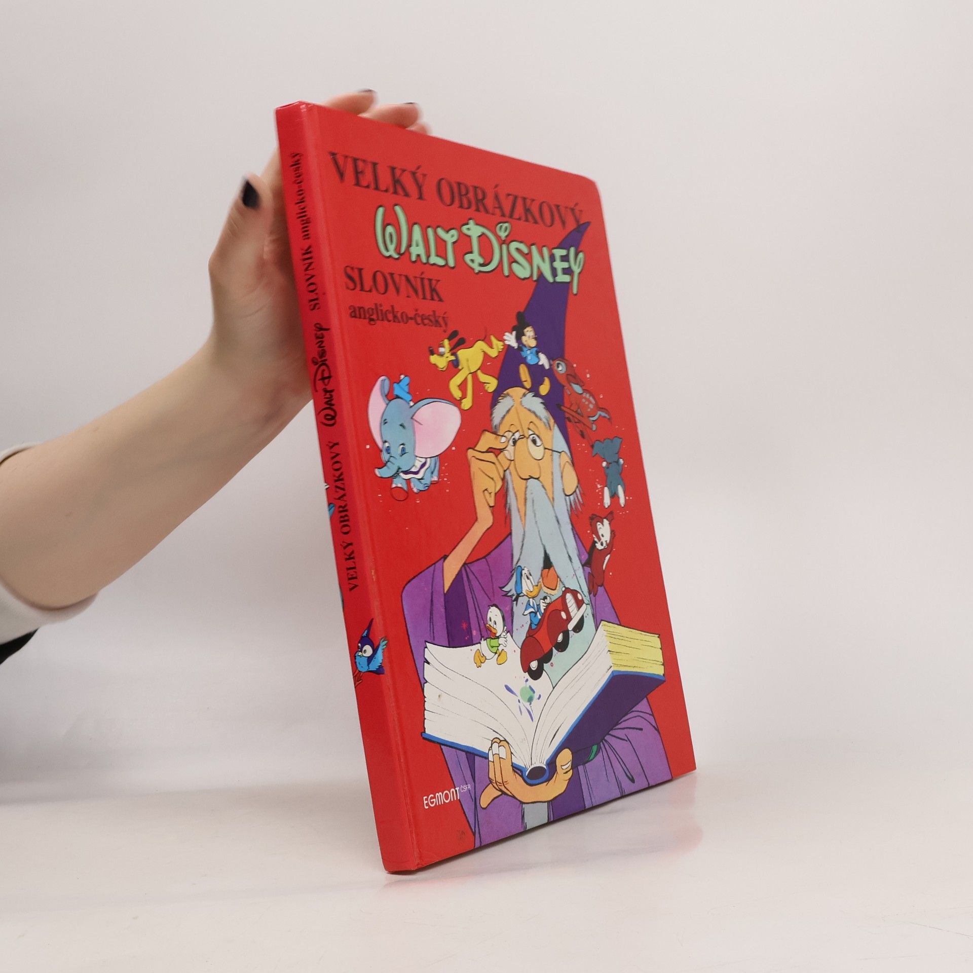 Walt Disney Velký obrázkový slovník anglicko-český