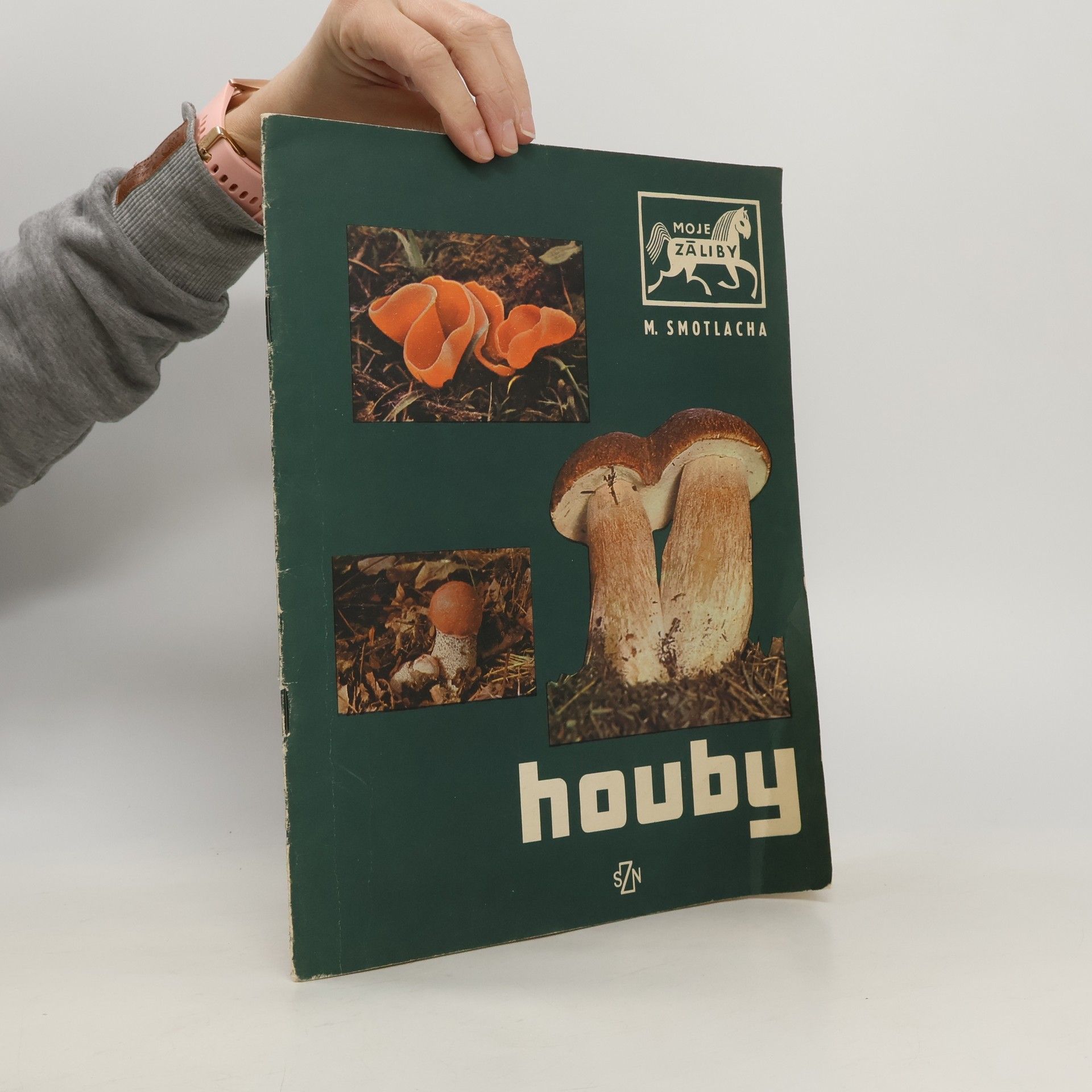 Miroslav Smotlacha Houby