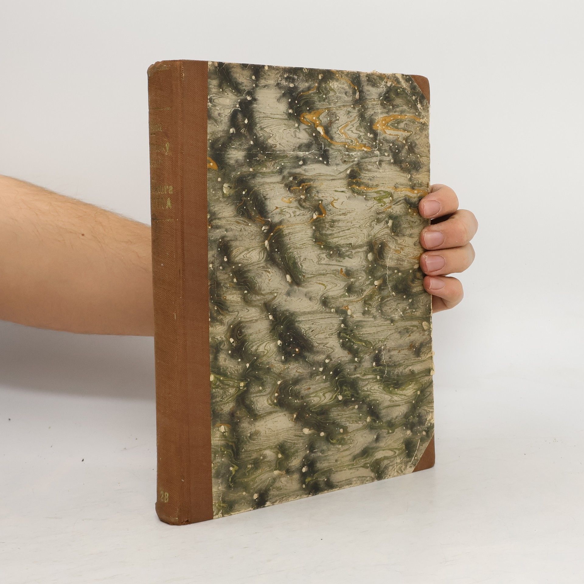 Jaroslav Pešina Tektonický prostor a architektura u Giotta