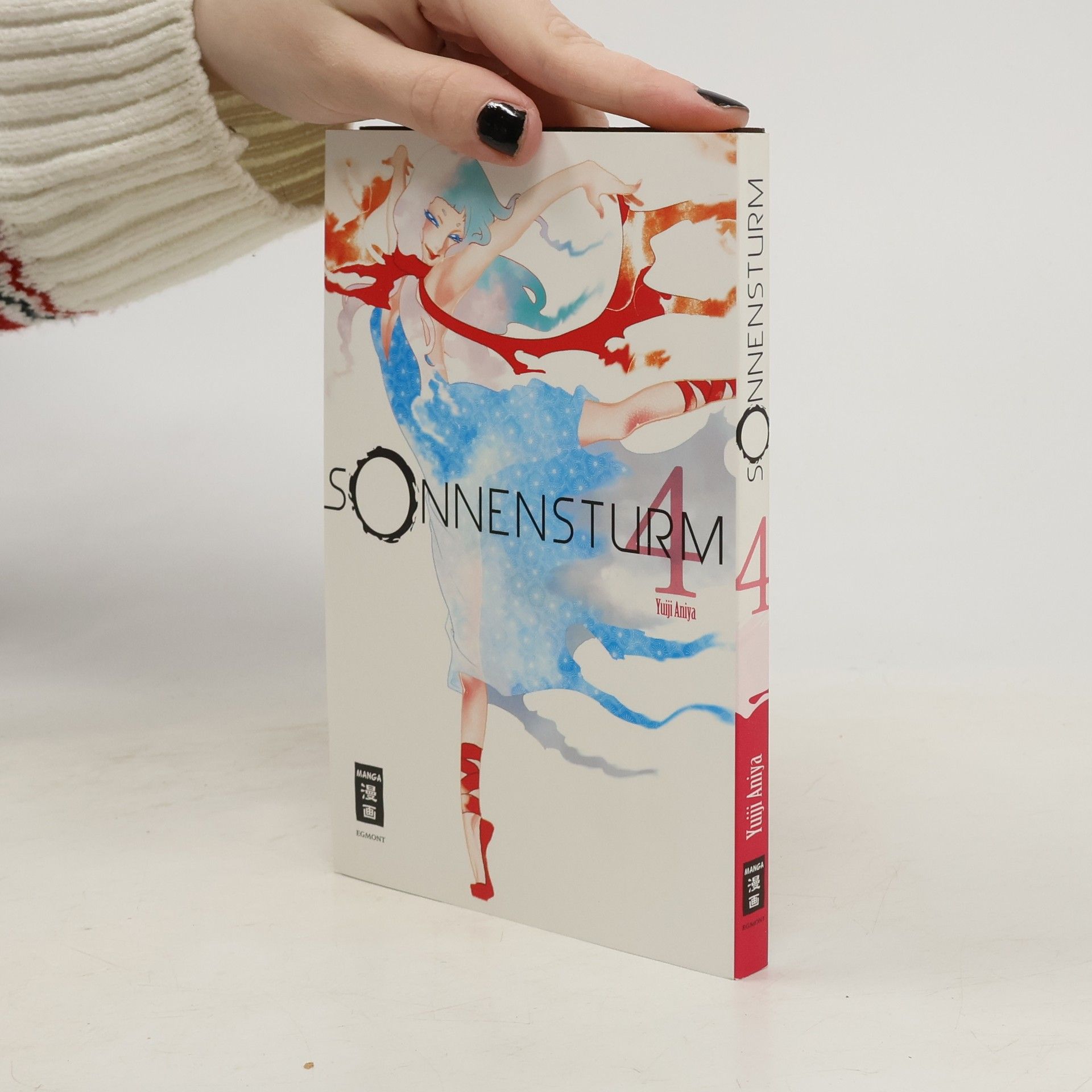 Yuiji Aniya Sonnensturm 4