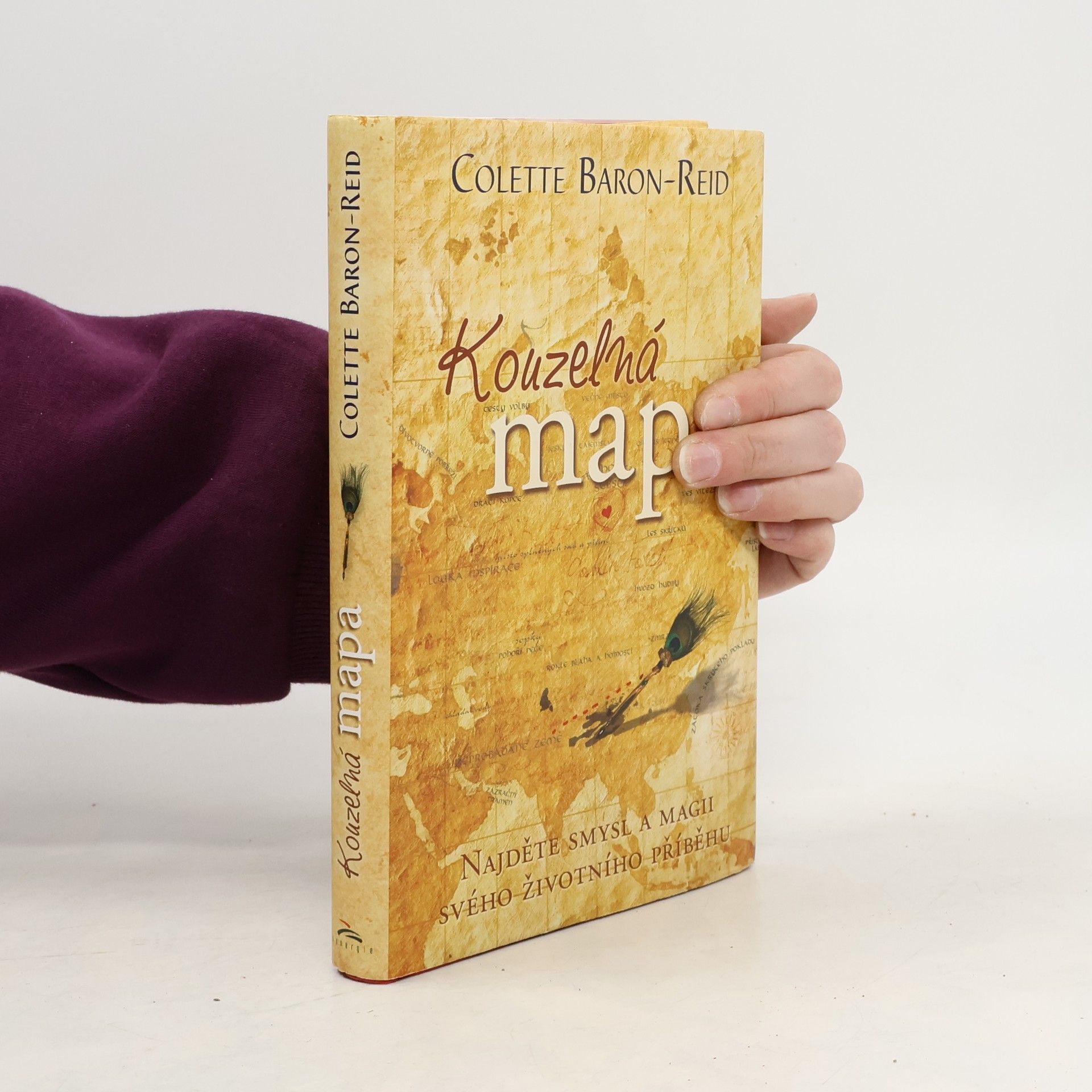 Colette Baron Reid Kouzelná mapa