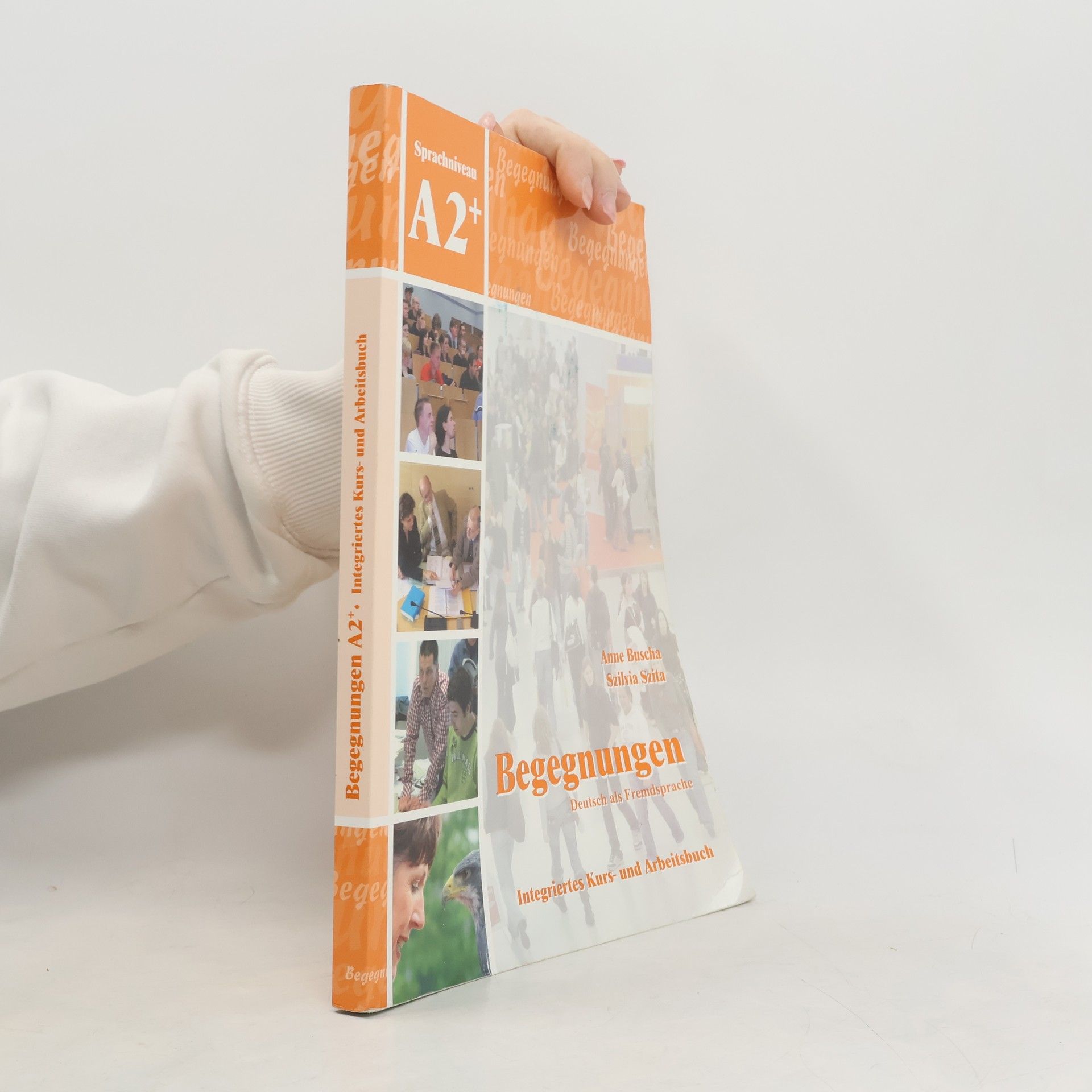 Begegnungen. Sprachniveau A2+, Integriertes Kurs- und Arbeitsbuch