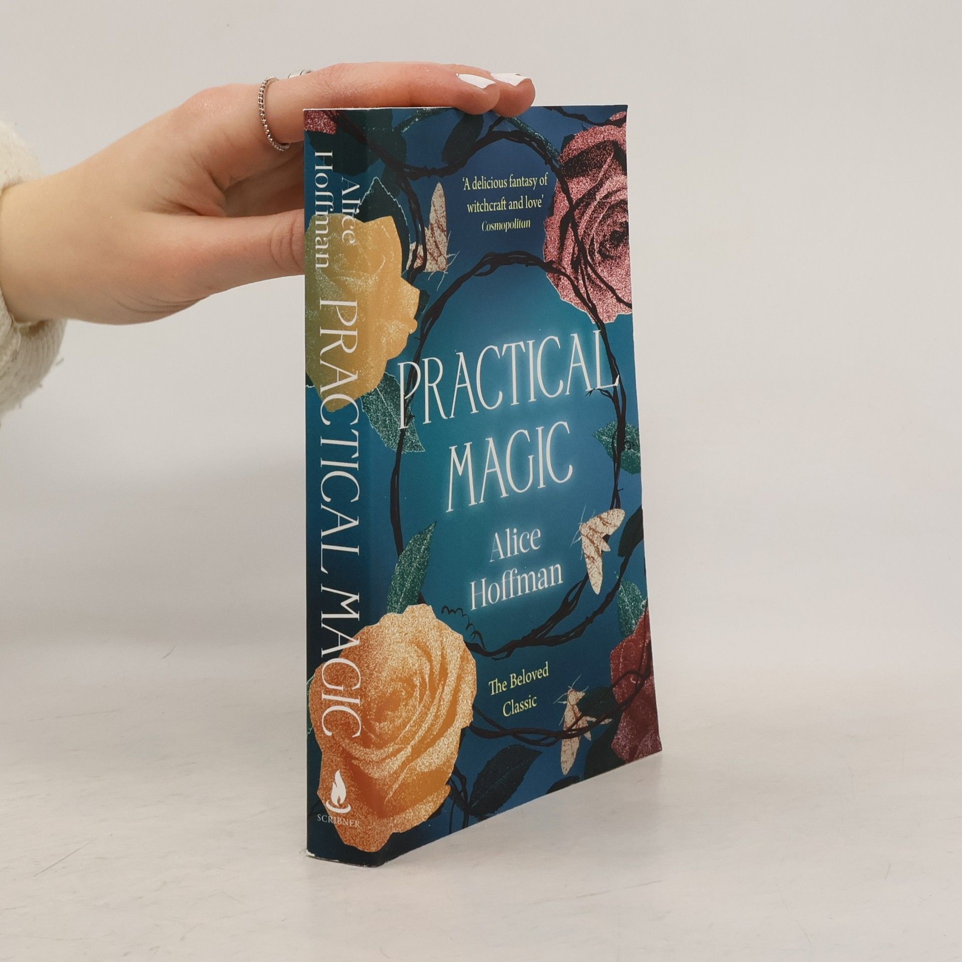 Alice Hoffman Practical magic