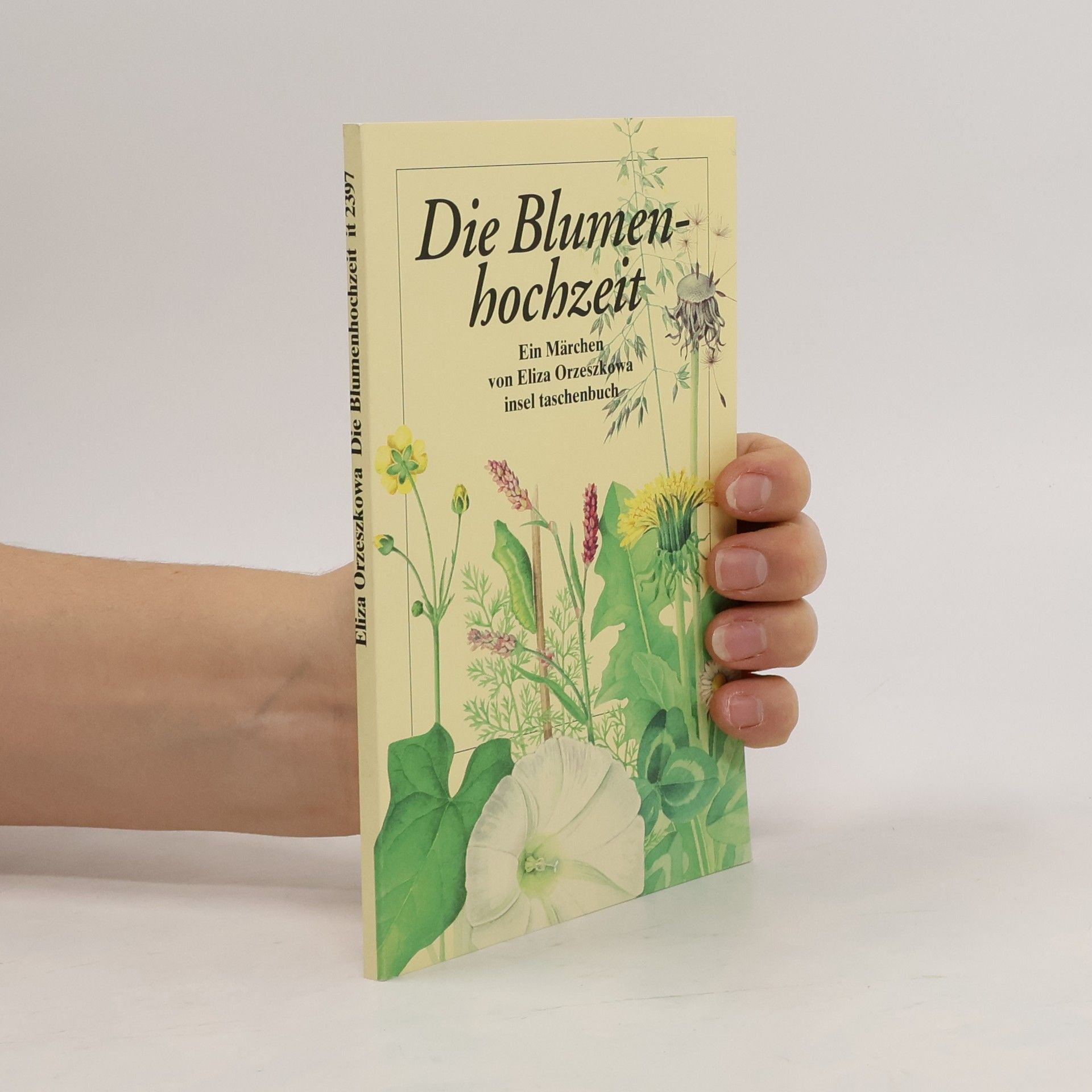 Insel Taschenbuch - 2397: Die Blumenhochzeit
