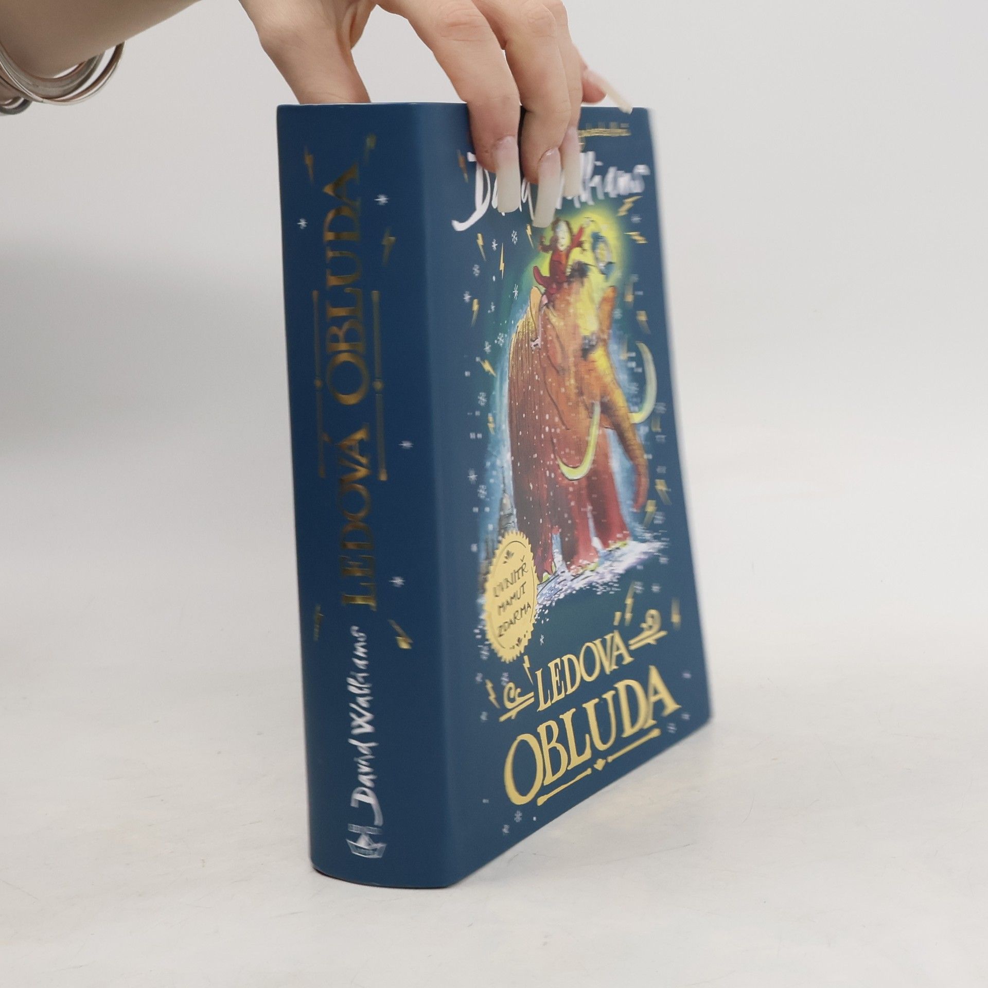 David Walliams Ledová obluda