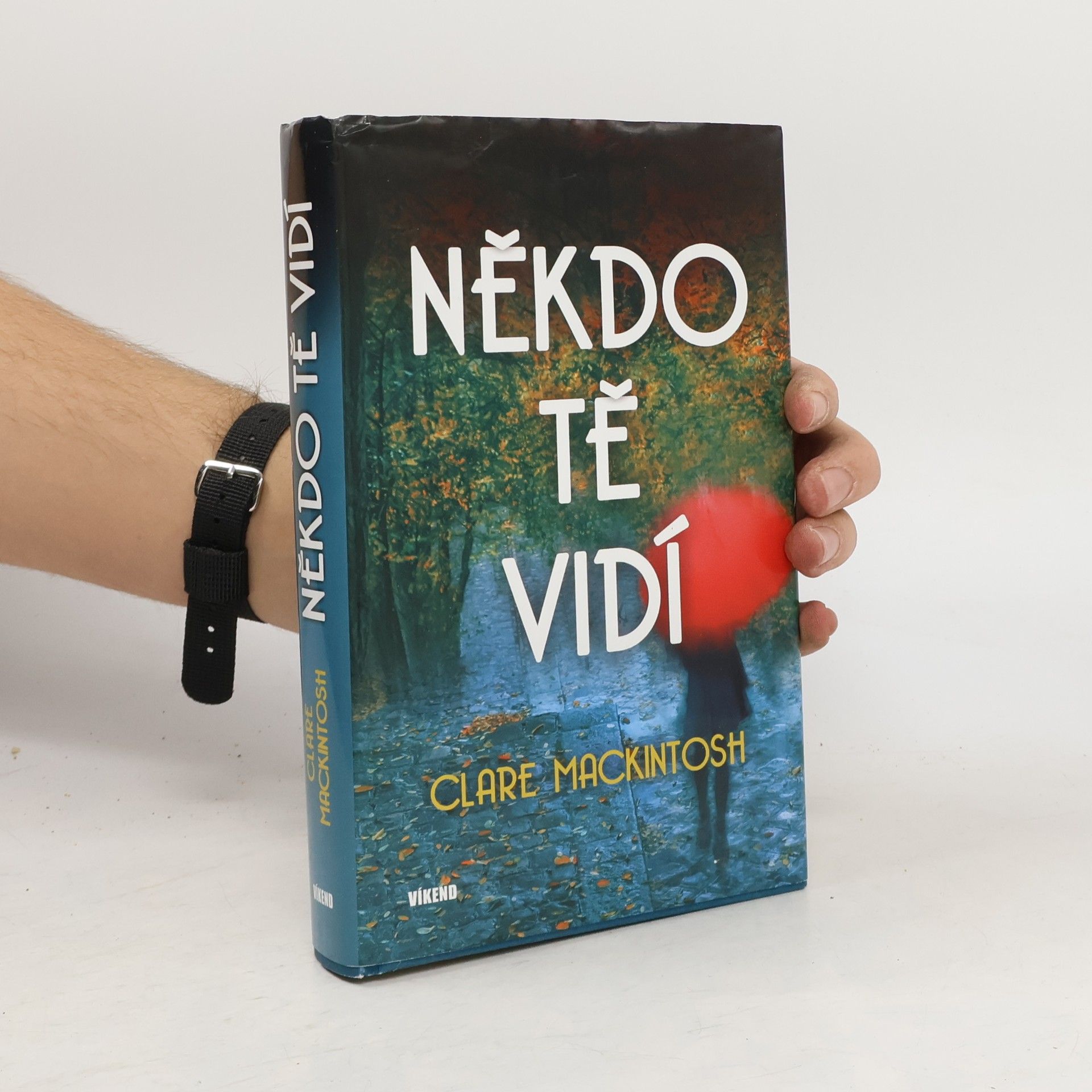 Clare Mackintosh Někdo tě vidí