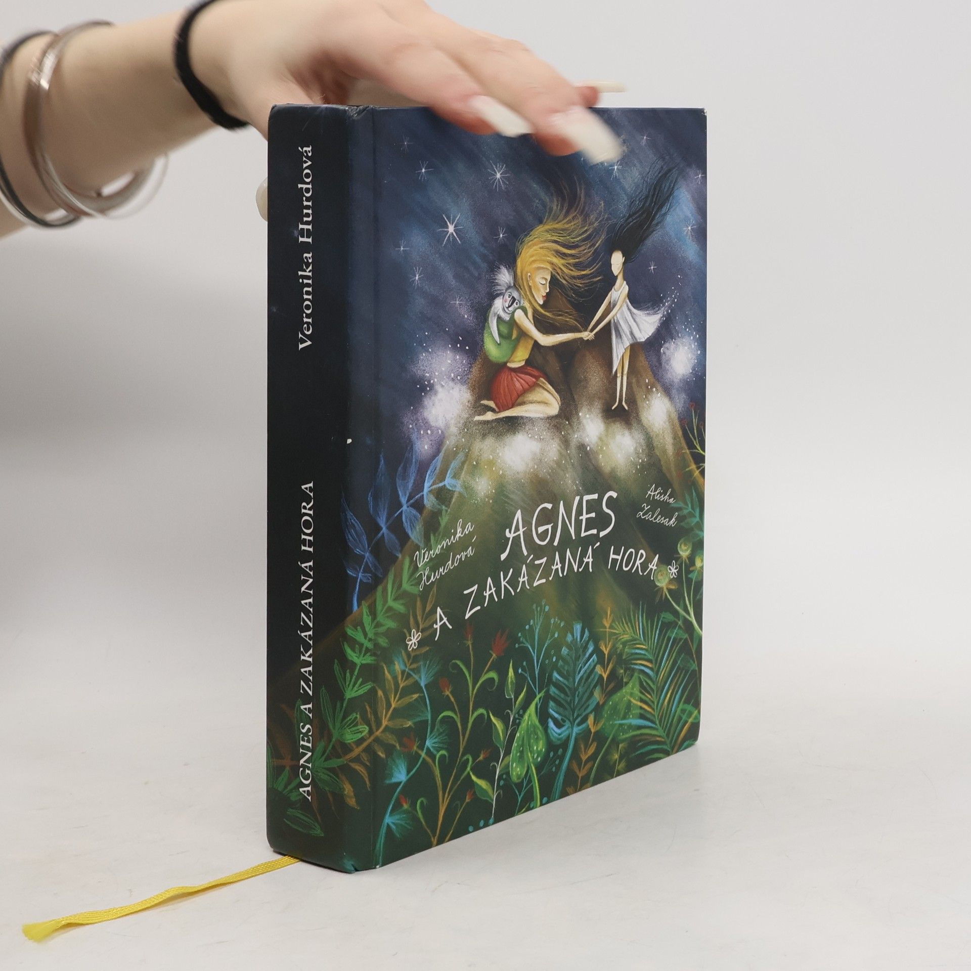 Veronika Hurdová Agnes a Zakázaná hora